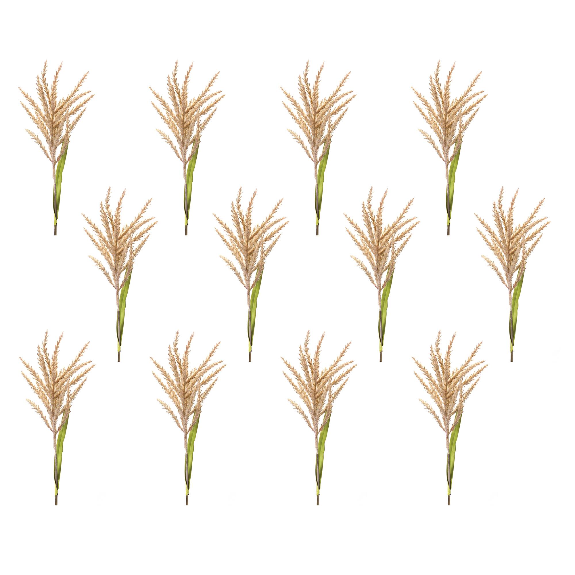 34" Brown Astilbe Stems, 12ct.