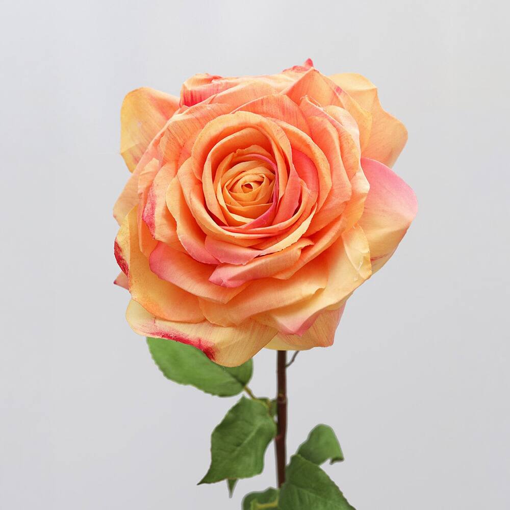 Prestige Botanicals 20" Artificial Sunset Dutchess Rose Stem