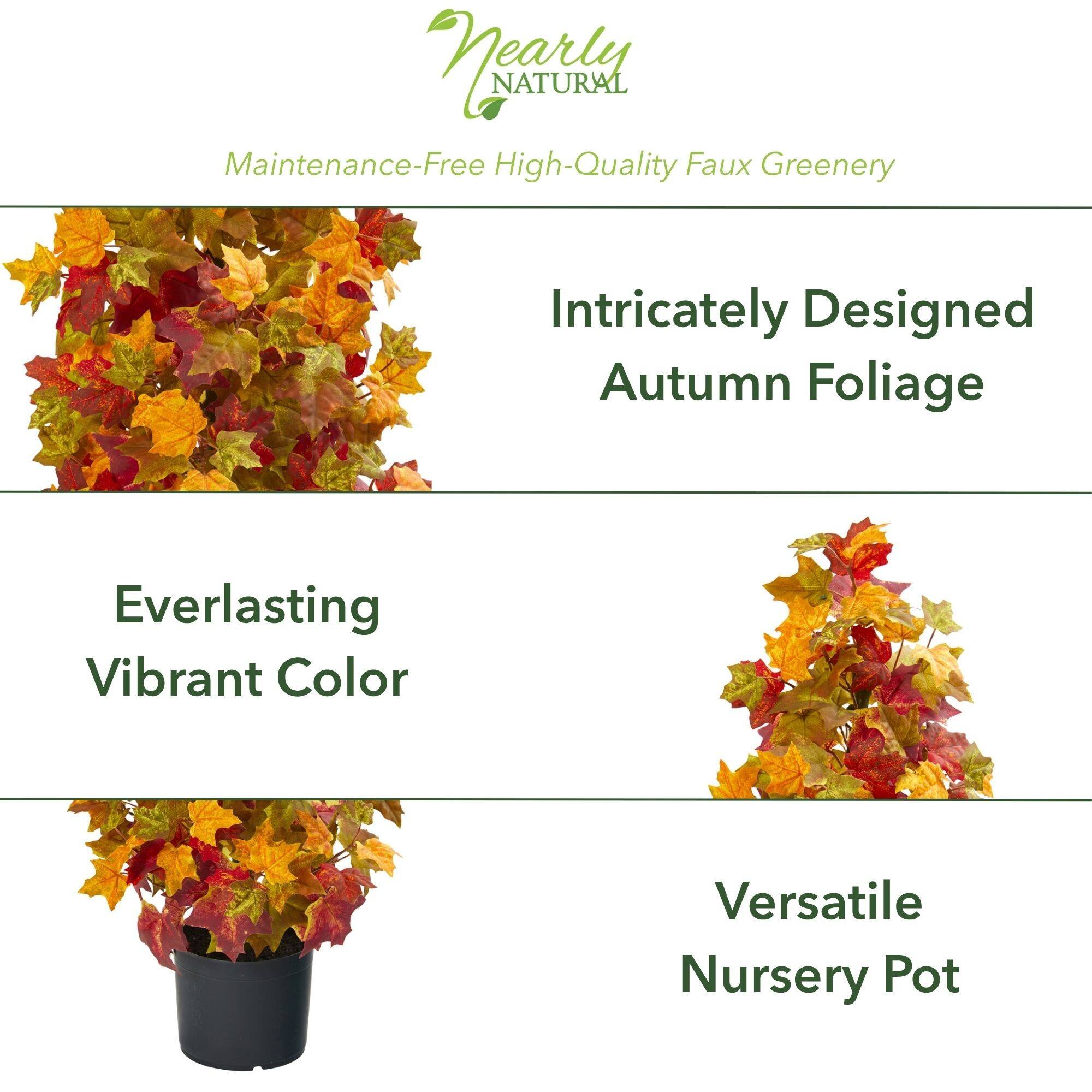 3ft. Potted Autumn Maple Tree