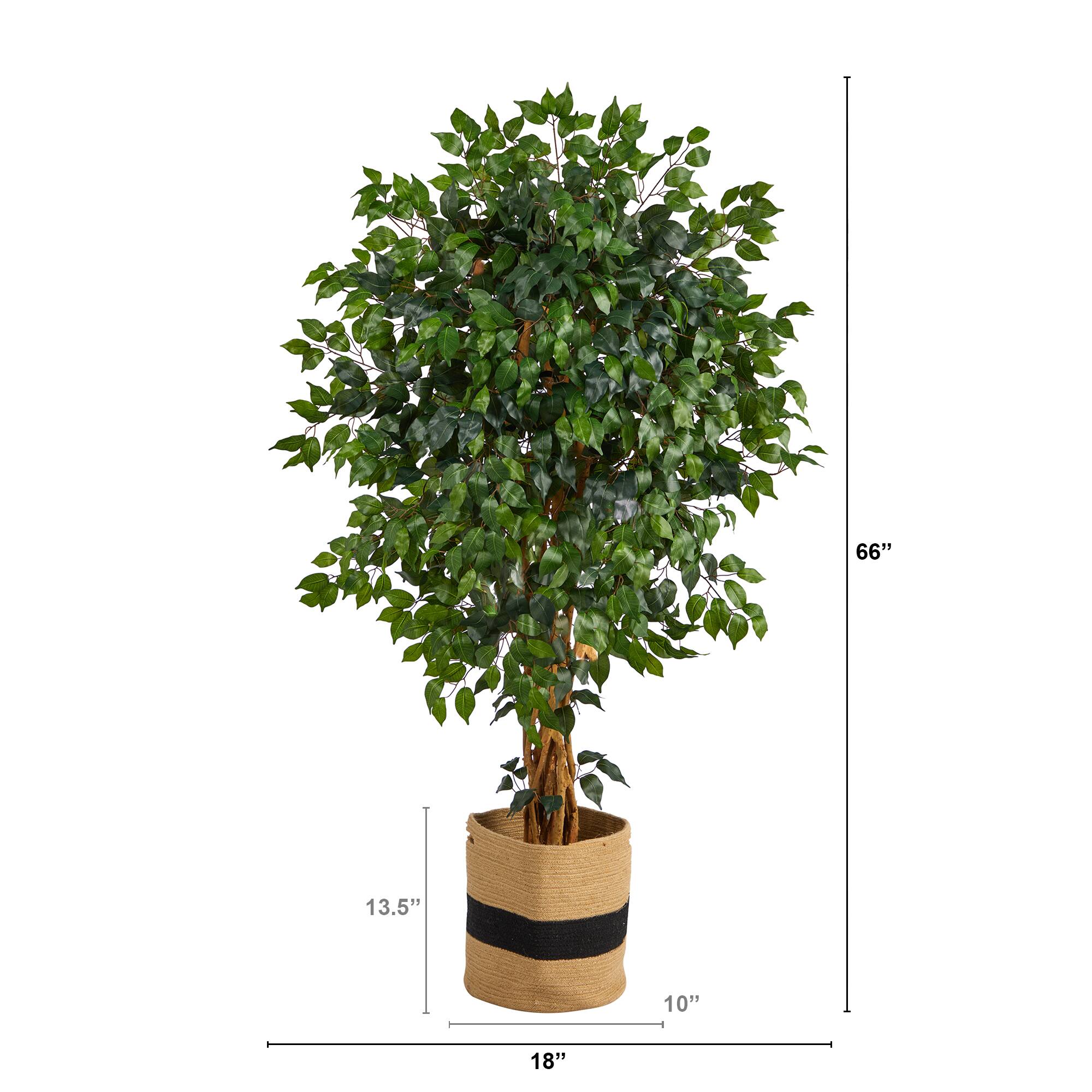 5.5ft. Palace Ficus Artificial Tree in Handmade Natural Cotton Planter