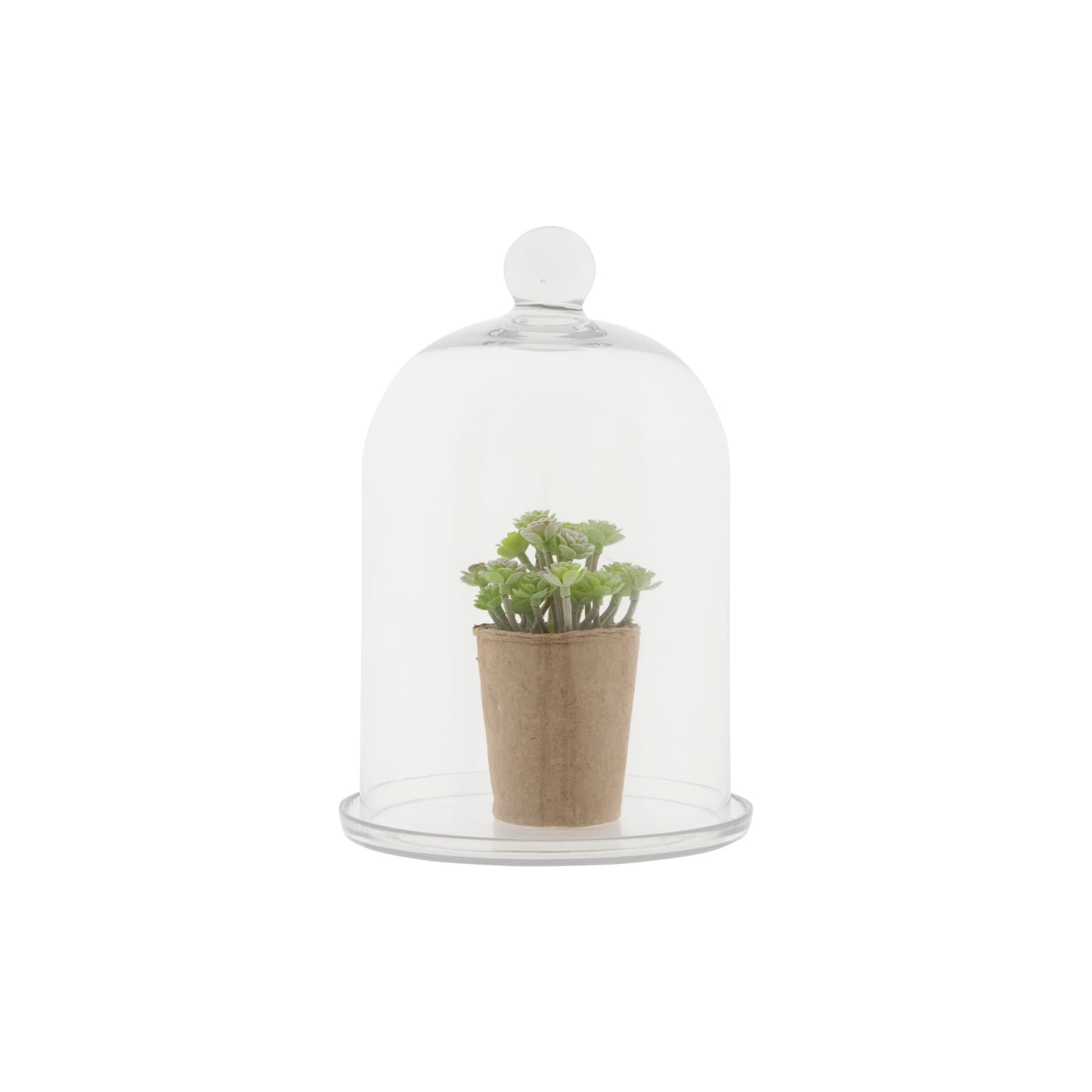 Hello Honey® Glass Cloche with Clear Glass Plate Set