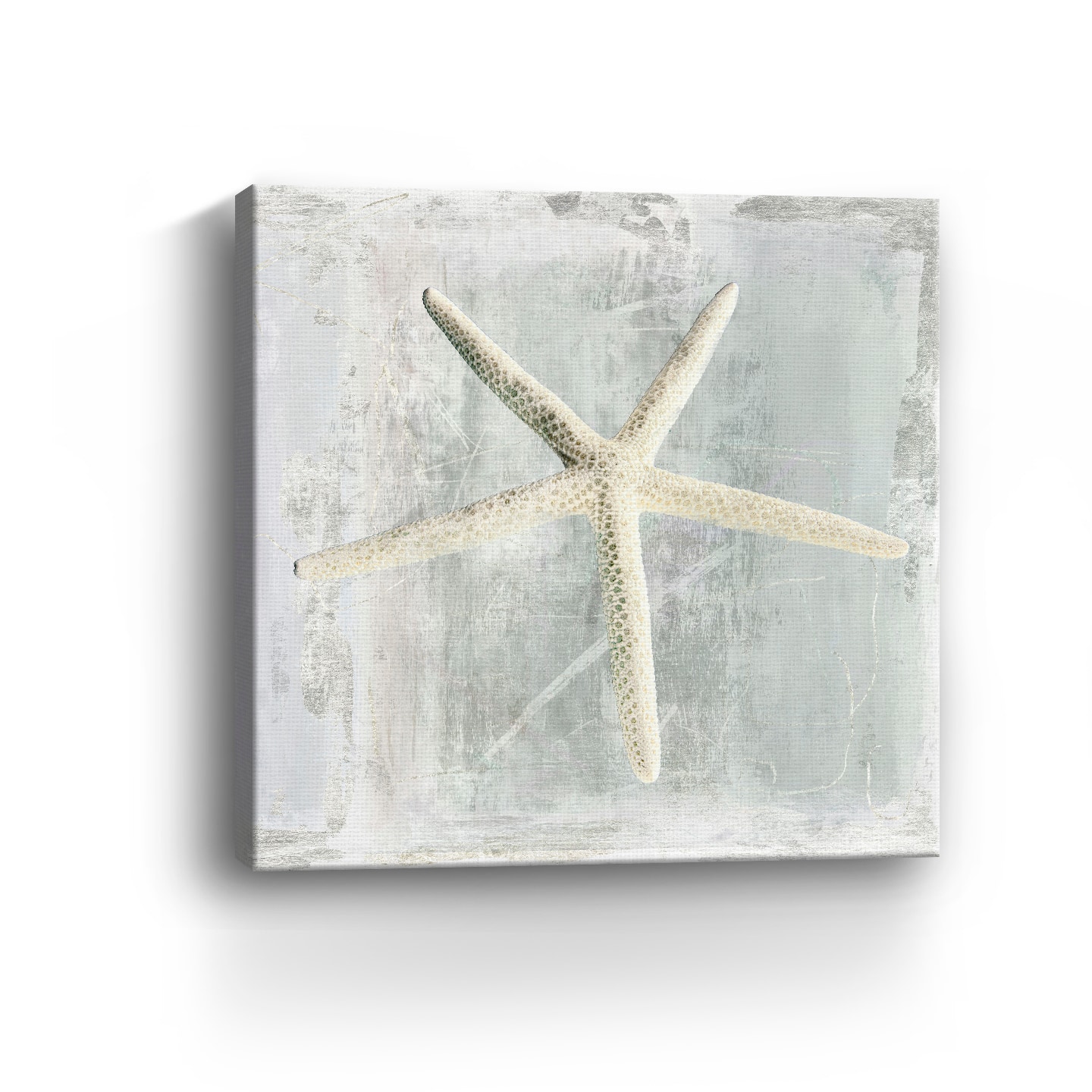 Starfish Canvas Giclee