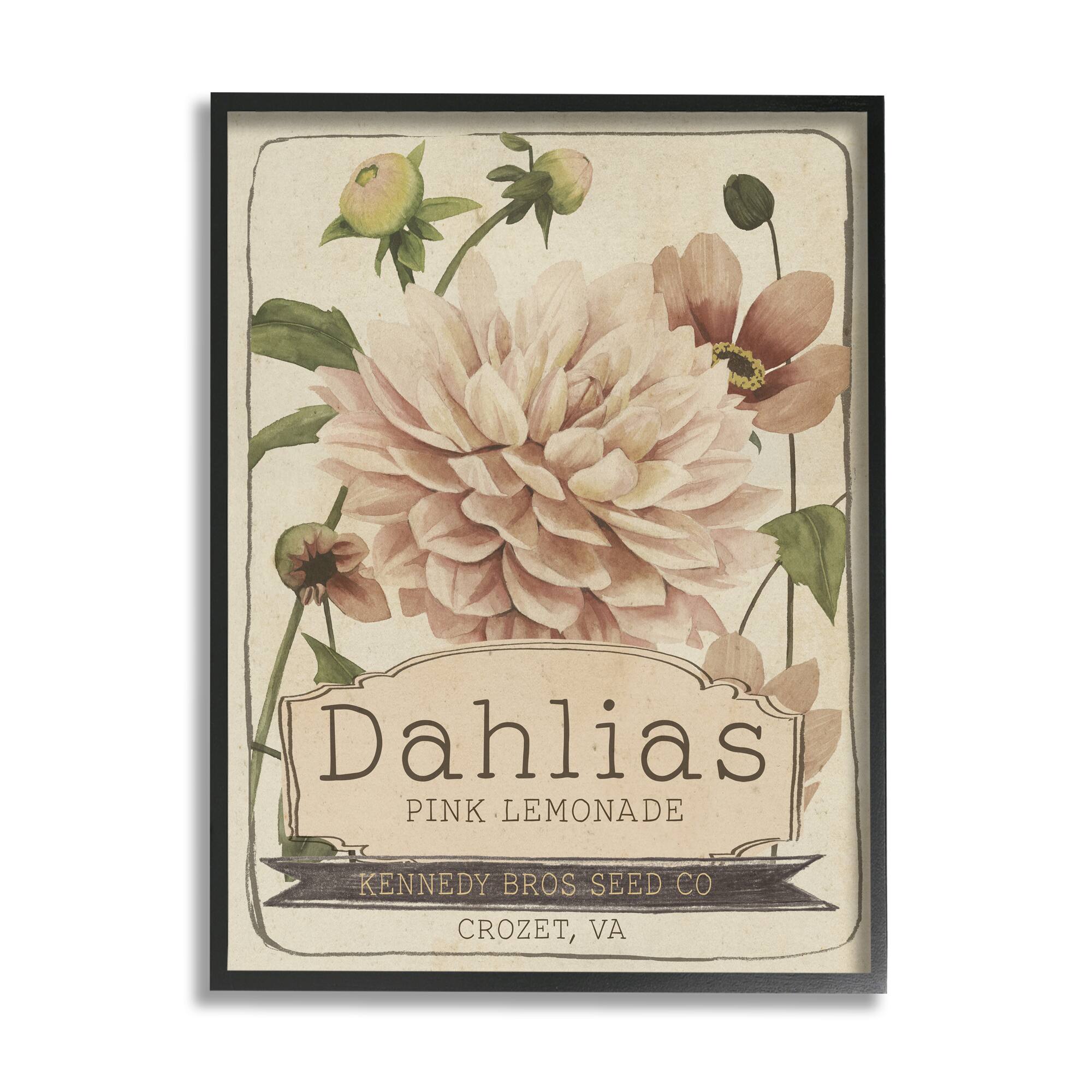 Stupell Industries Pink Lemonade Dahlias Vintage Floral Seed Packet Framed Wall Art
