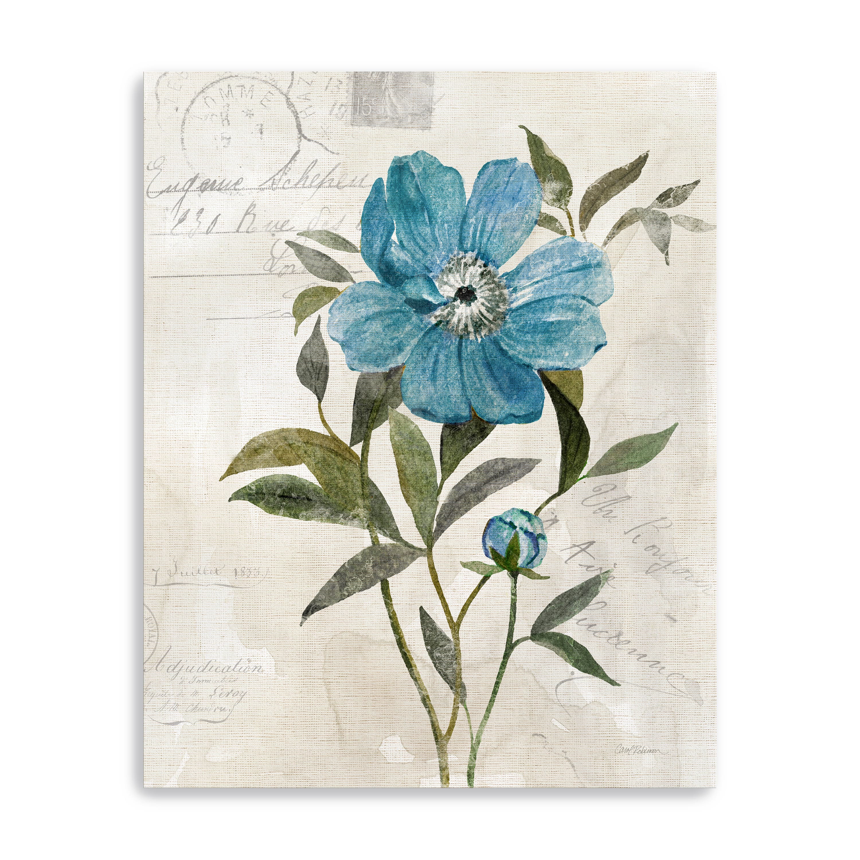 20" x 16" Linen Peony Canvas Giclee