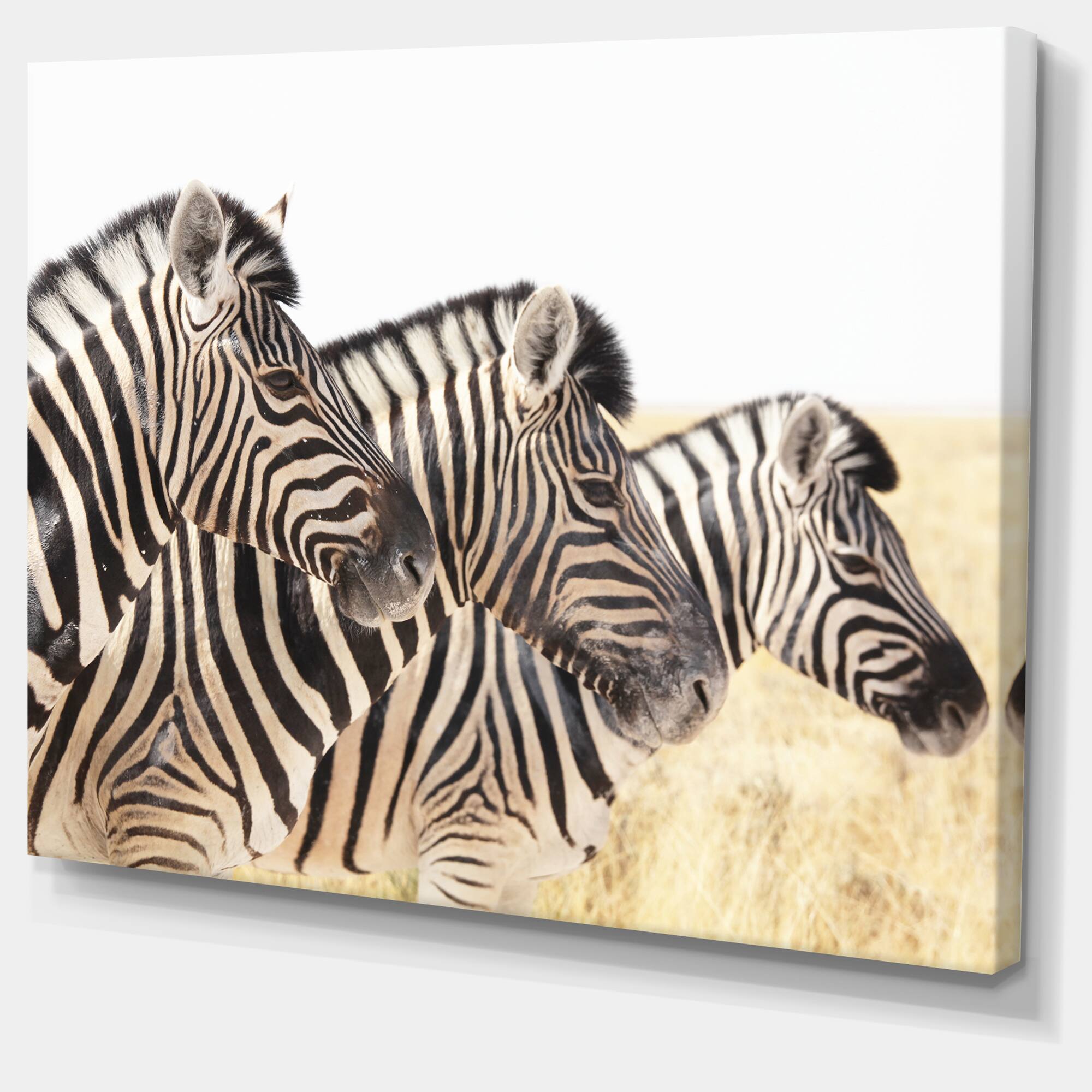 Designart - Zebras in A Row in Grassland