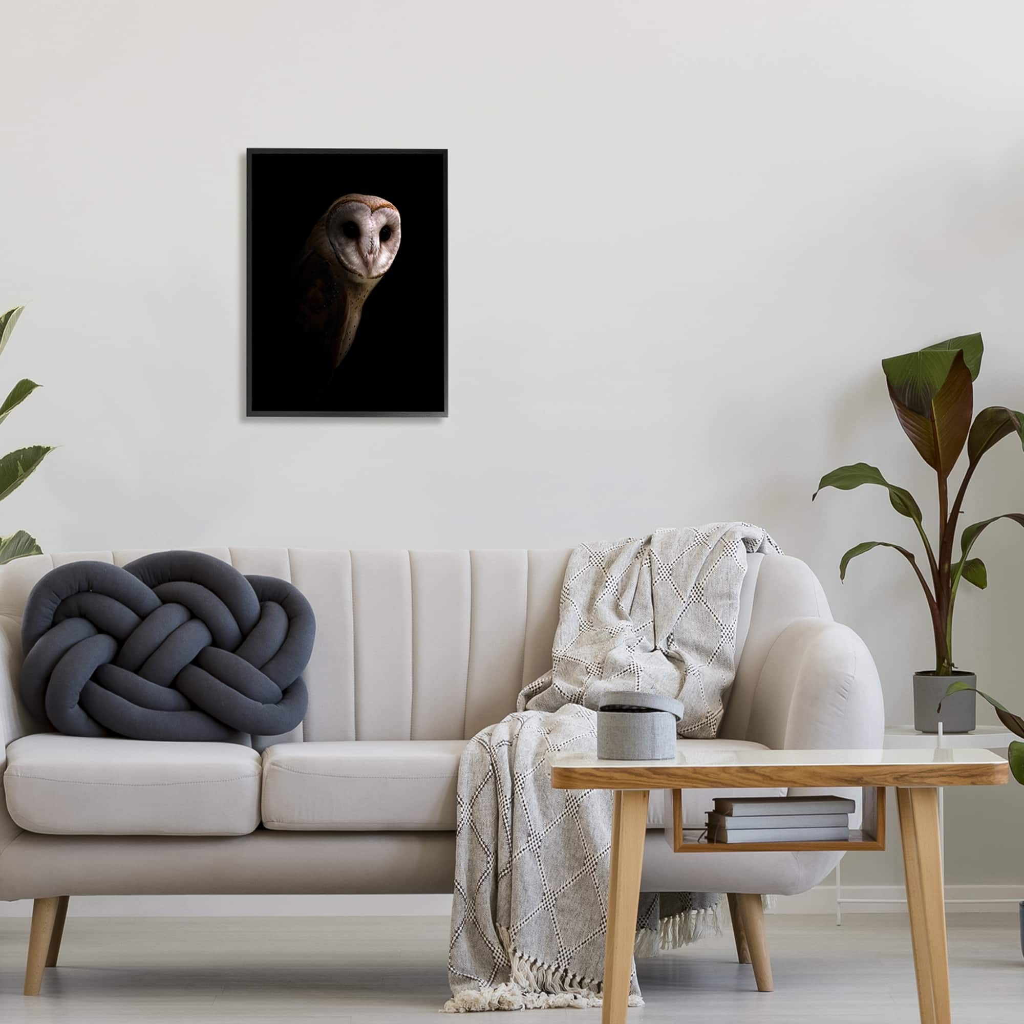 Stupell Industries Intense Barn Owl Black Shadow Photography Framed Giclee Art