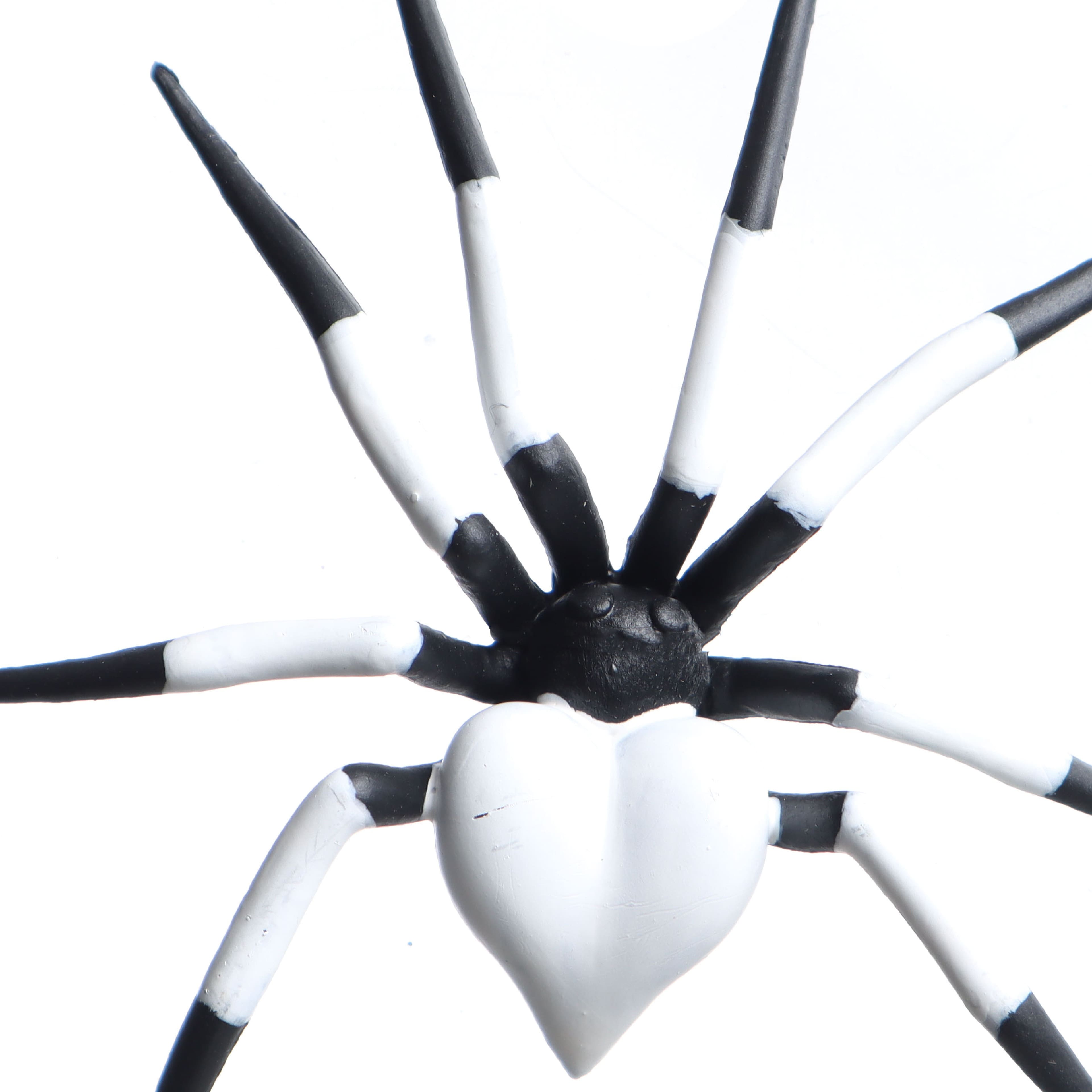 5" Black & White Plastic Spider Accent by Ashland®