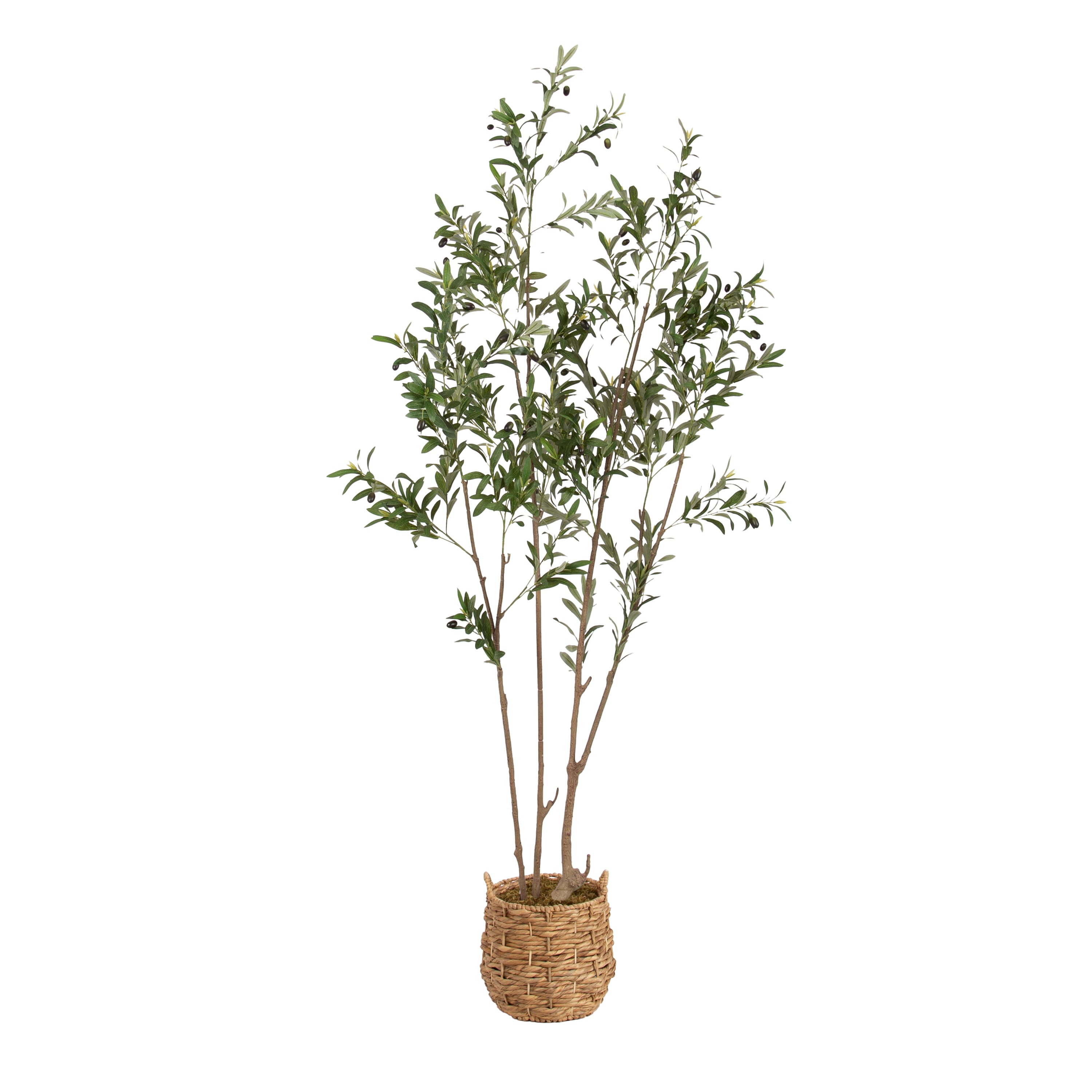 Kate and Laurel 7ft. Natural Green Oliveira Faux Olive Tree with Brown Basket