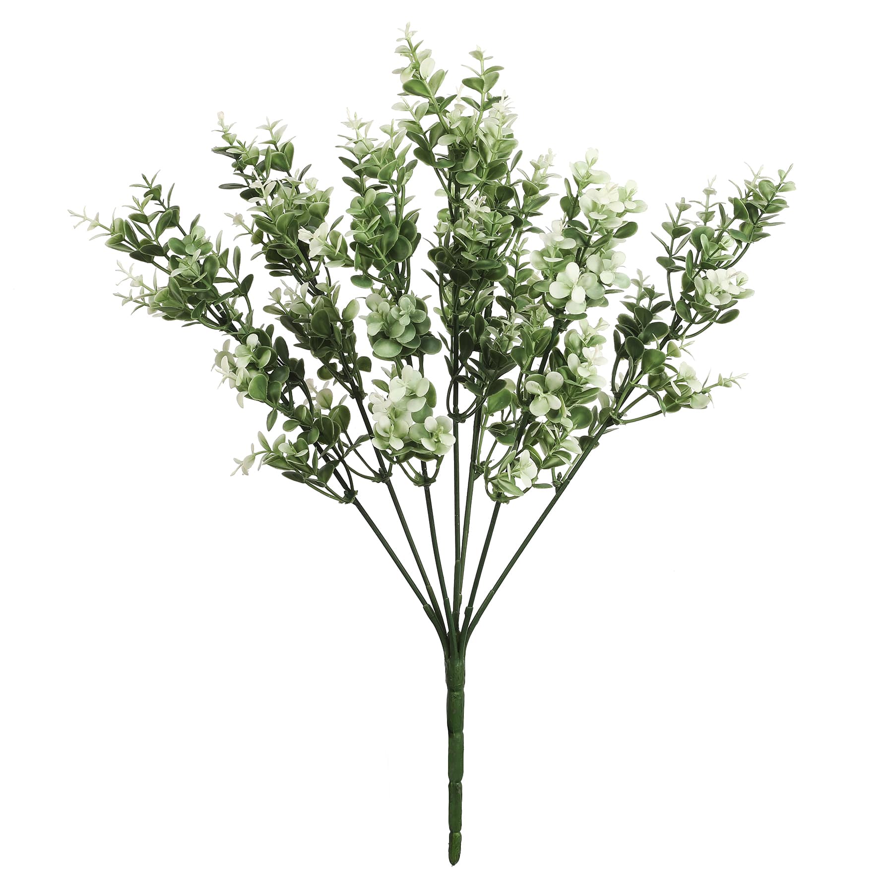 8 Pack: 19" Cream Boxwood Bush by Ashland®
