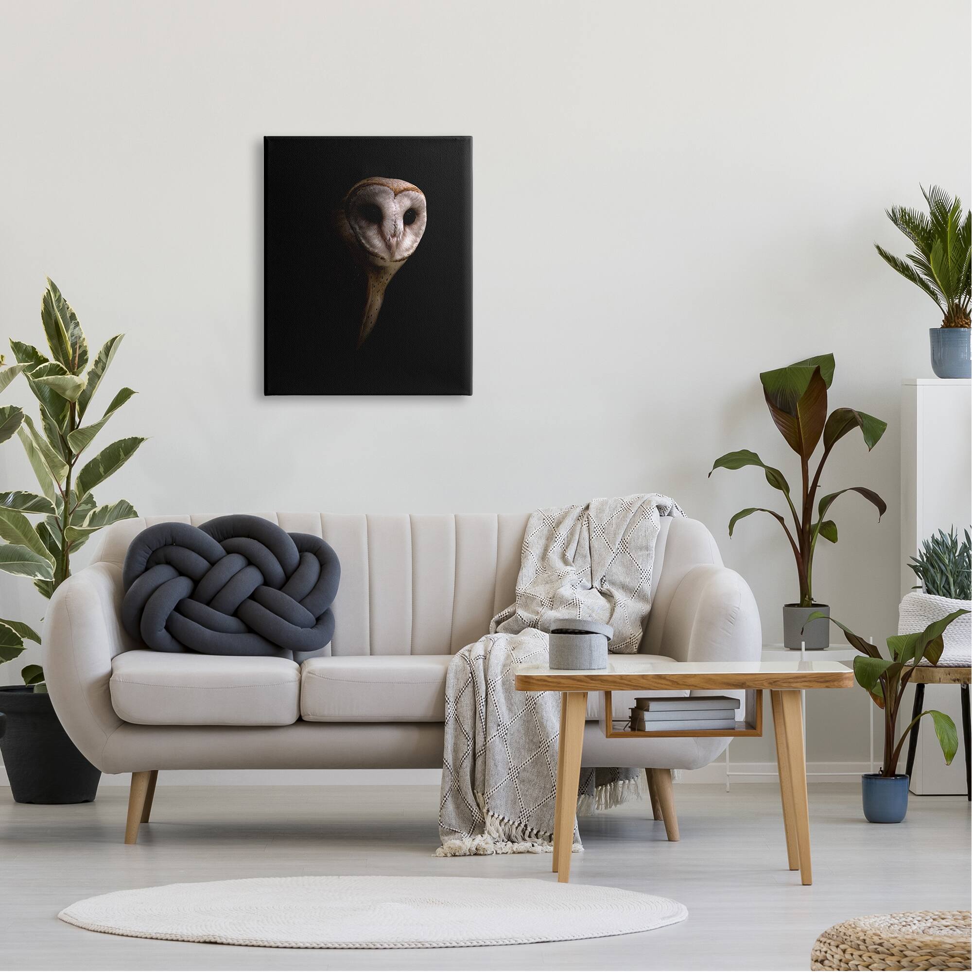 Stupell Industries Intense Barn Owl Black Shadow Photography Canvas Wall Art