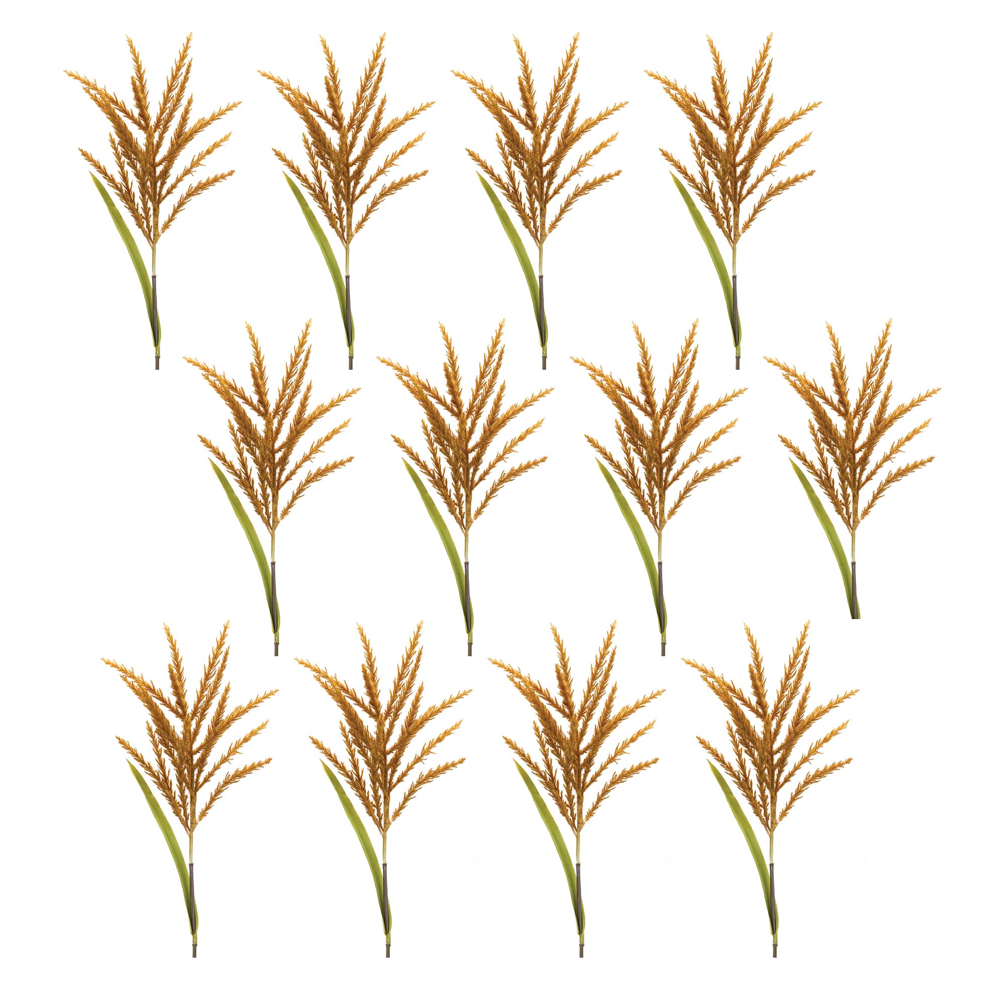 34" Orange Astilbe Stems, 12ct.