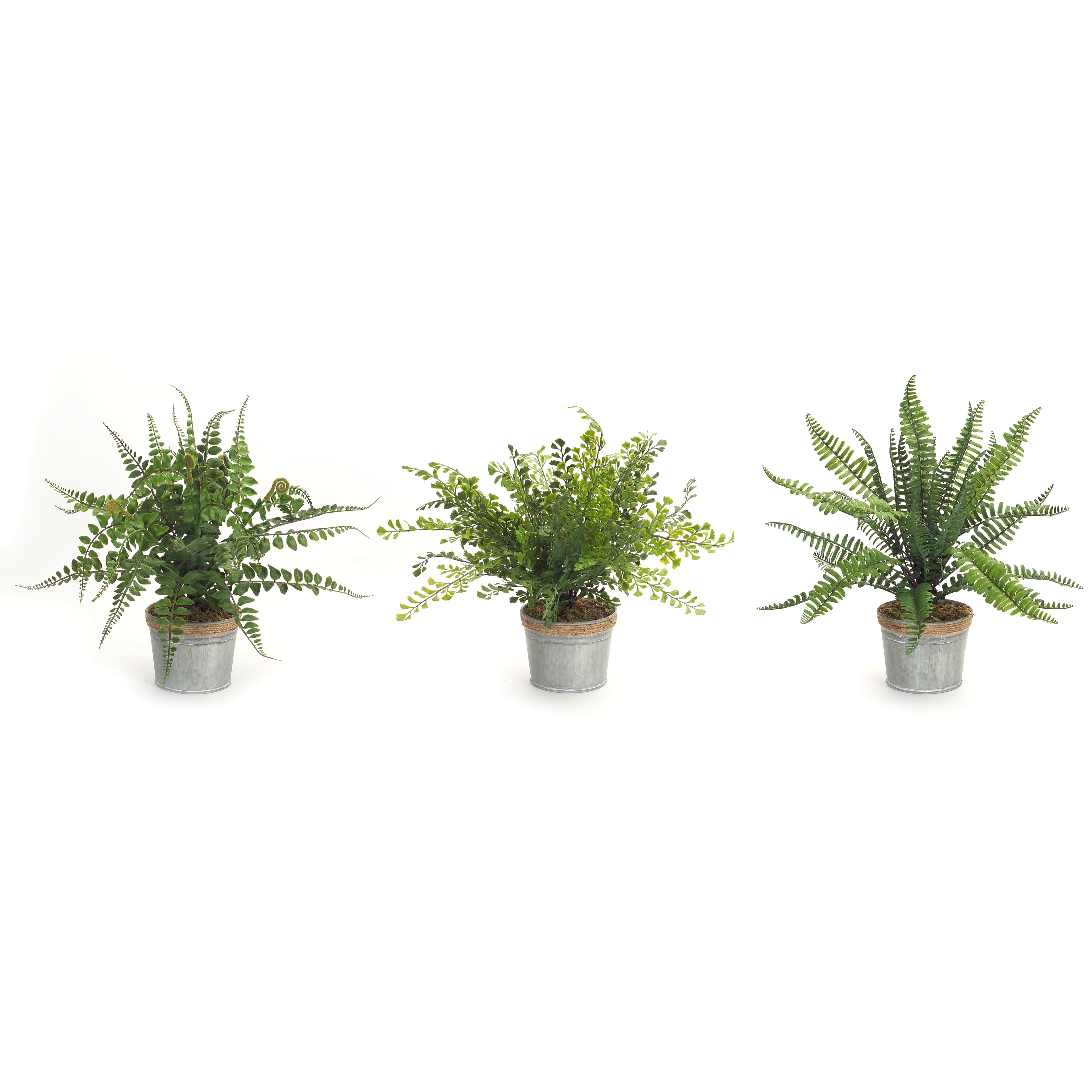 14.5" Fern Plant in Tin Pot Set 