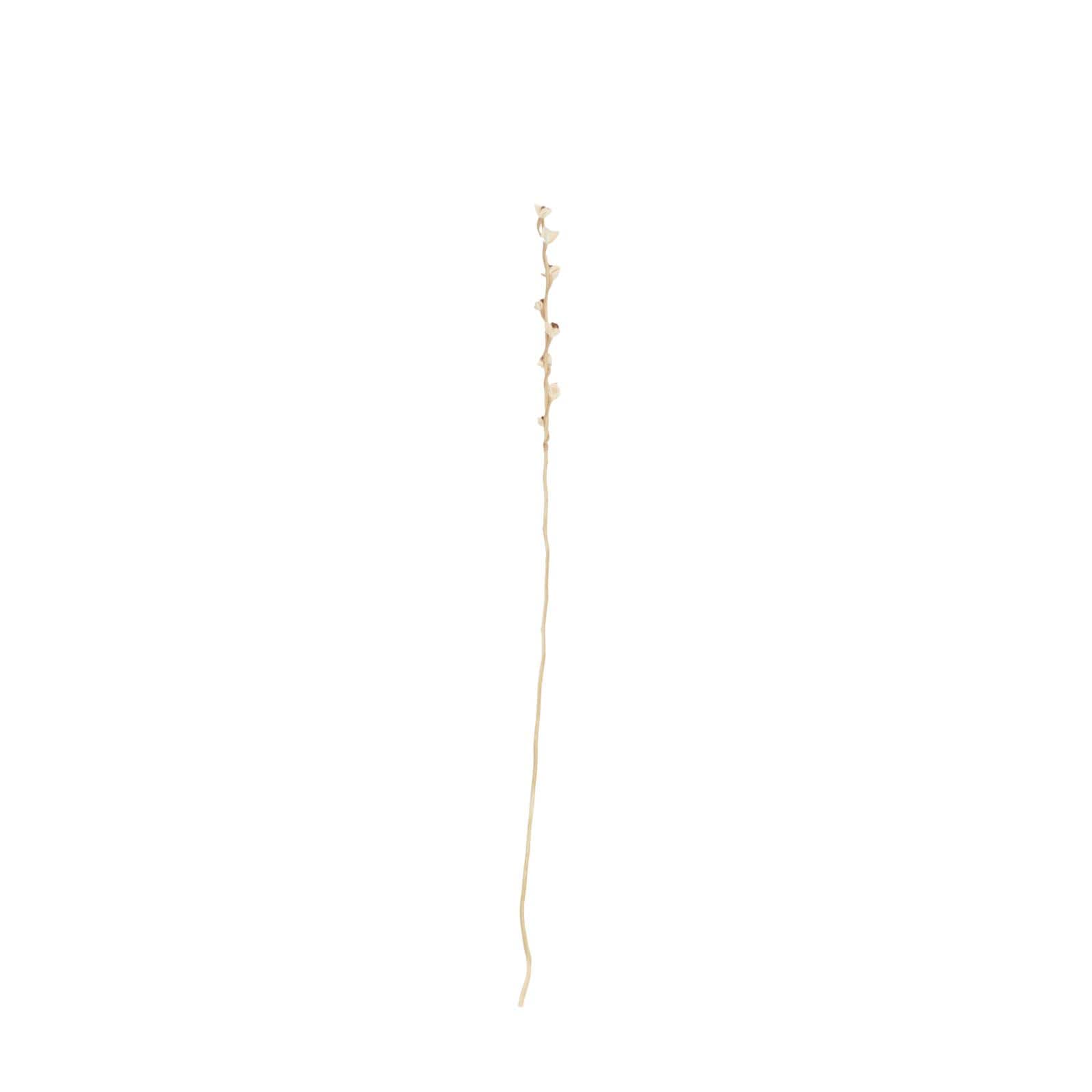 41" Cream Dried Plant Floral Bouquet Natural Foliage