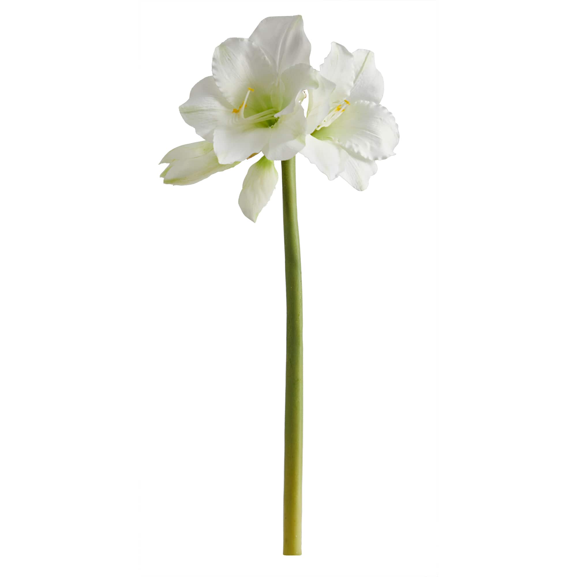 Amaryllis Artificial Flower Stem