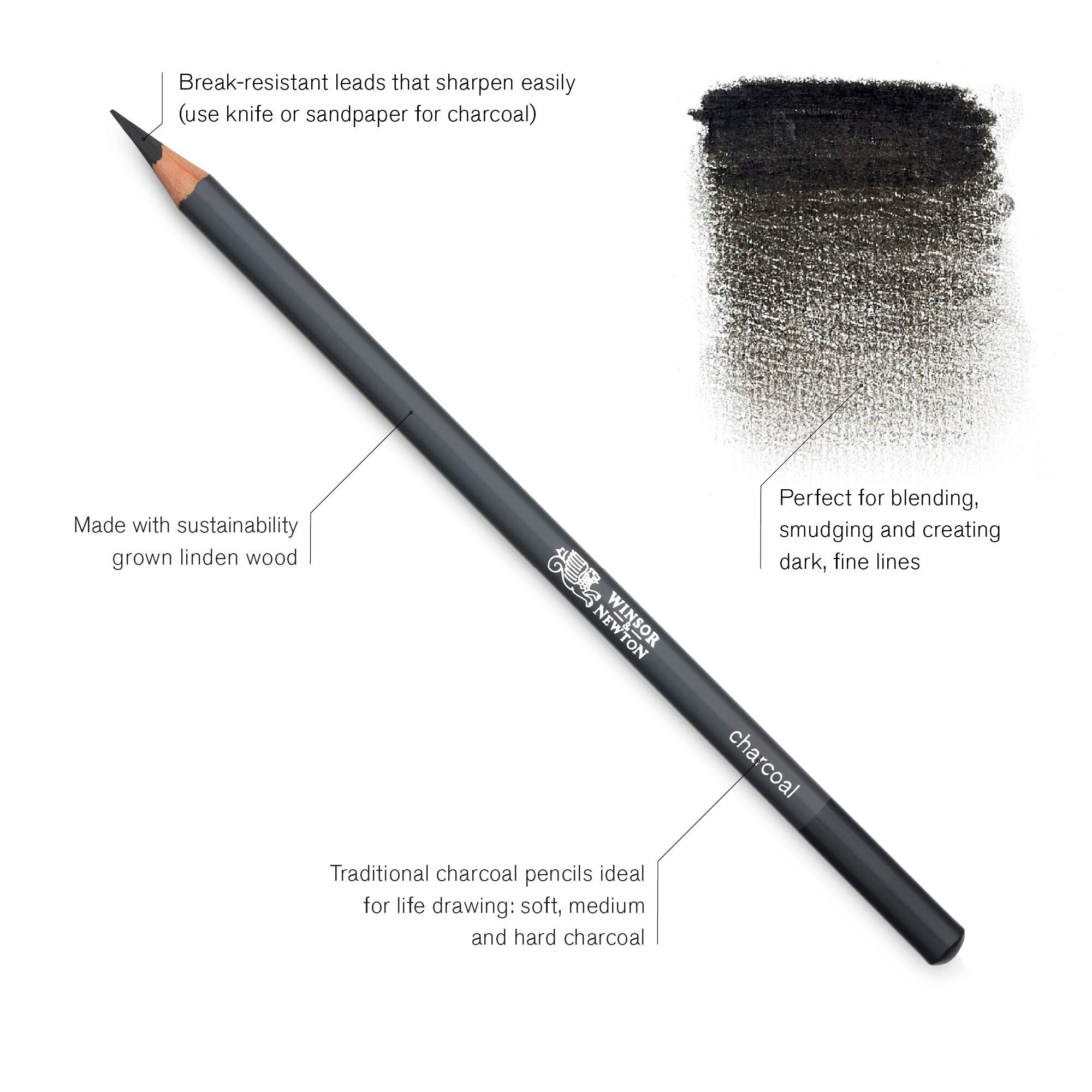 Winsor & Newton™ Studio Collection™ Charcoal Pencil 6 Piece Tin Set