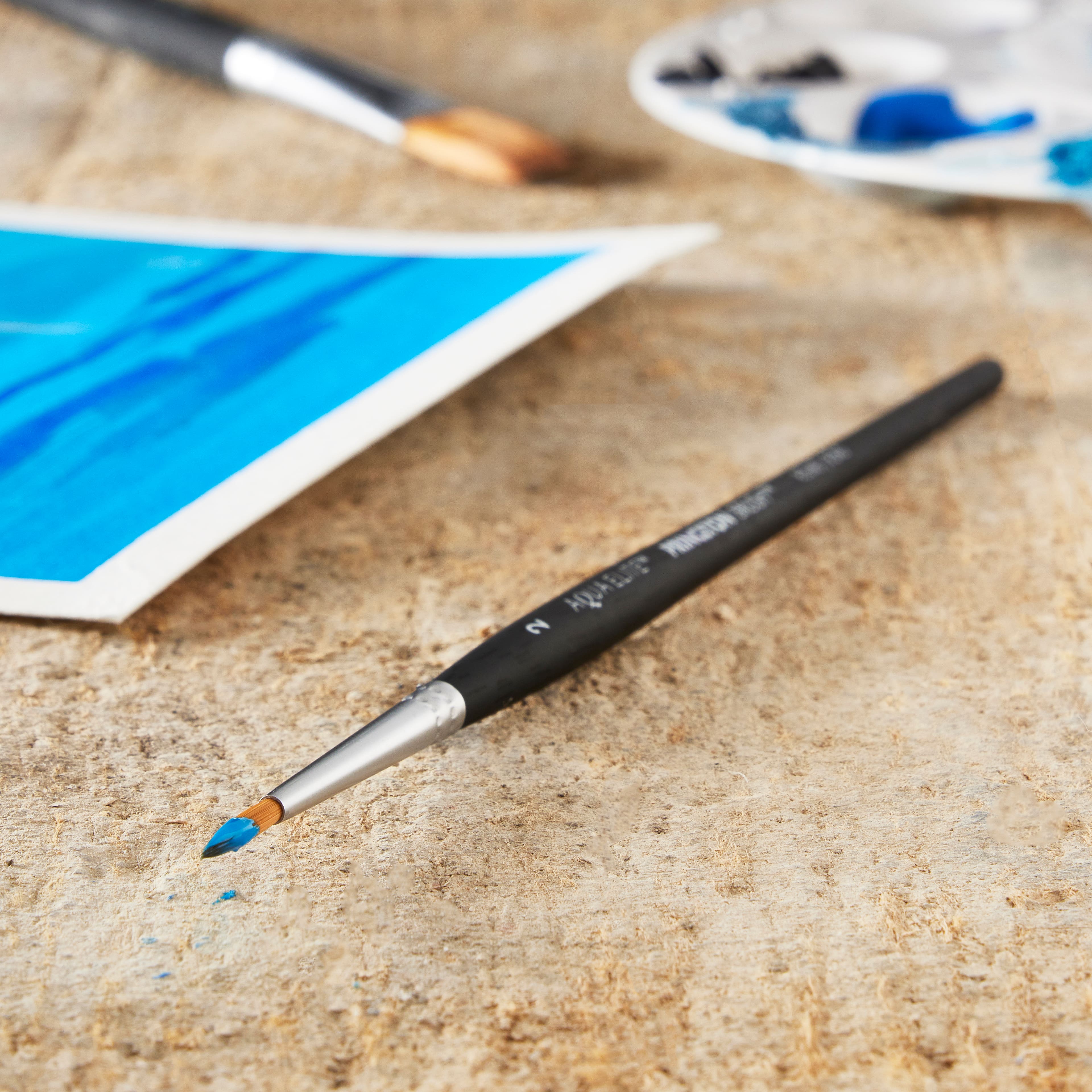 12 Pack: Princeton™ Aqua Elite™ Short Handle Round Brush