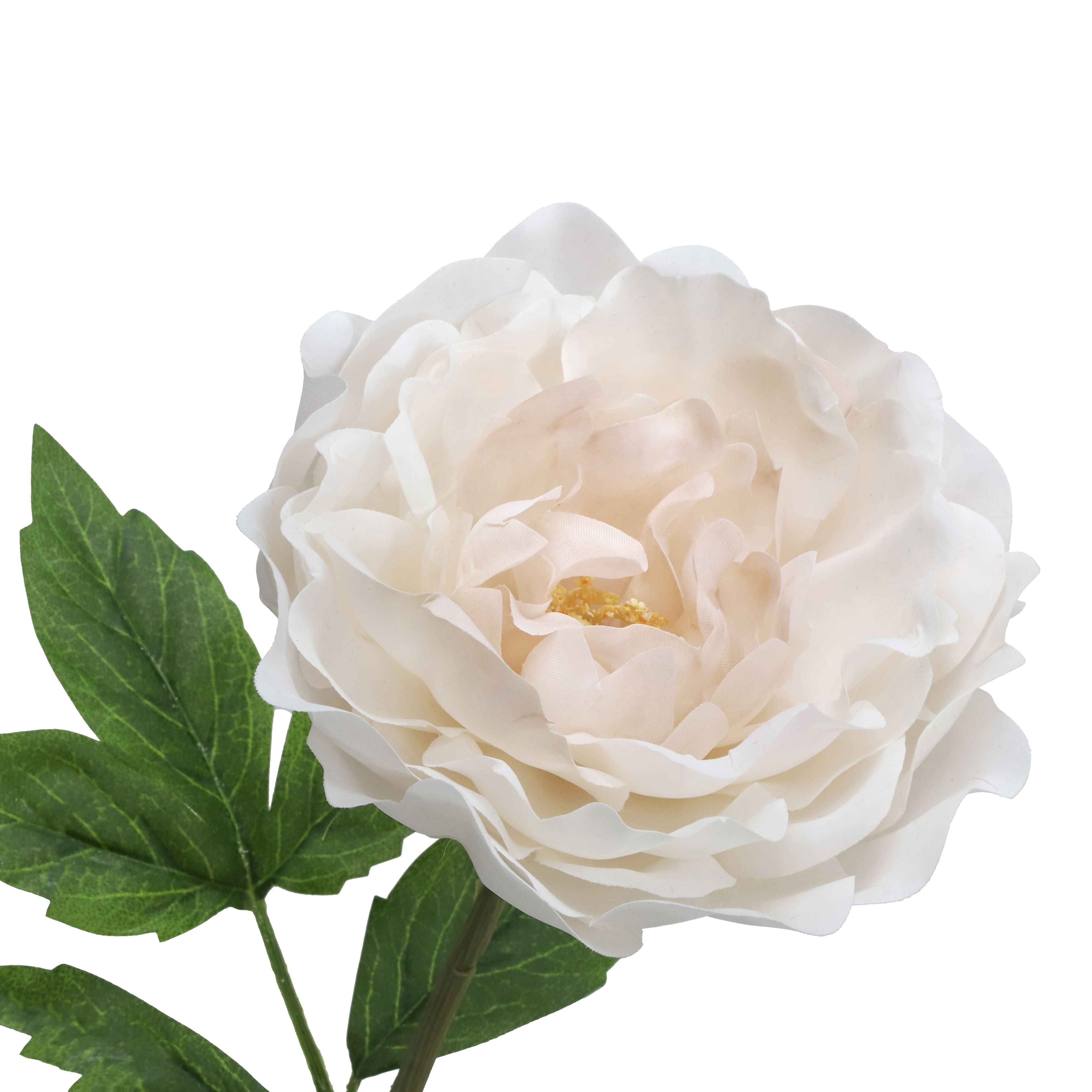 27" Peony Real Touch Stem by Ashland