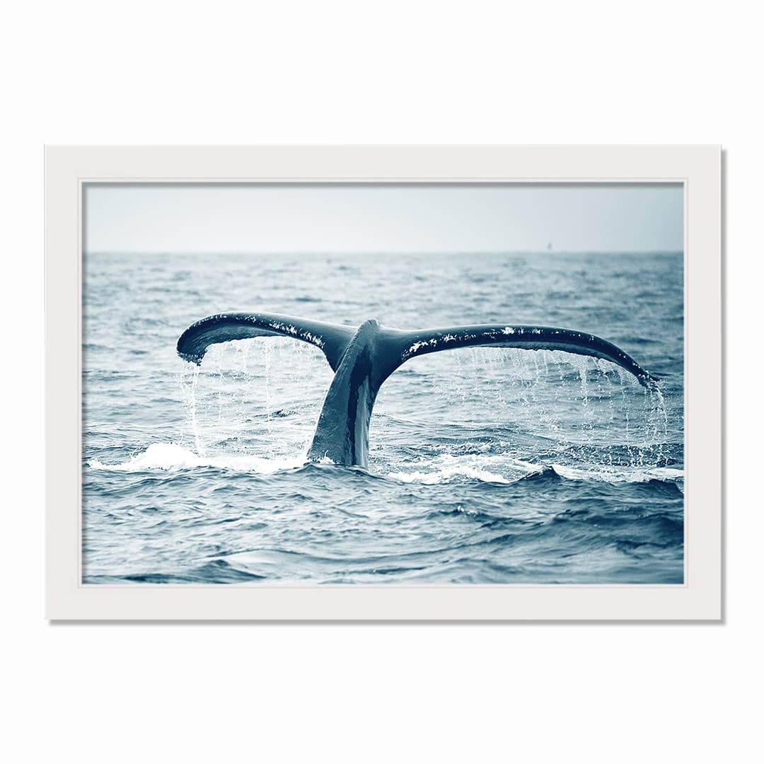 Whale Tail Out of Water White Framed Nautical Wall Décor