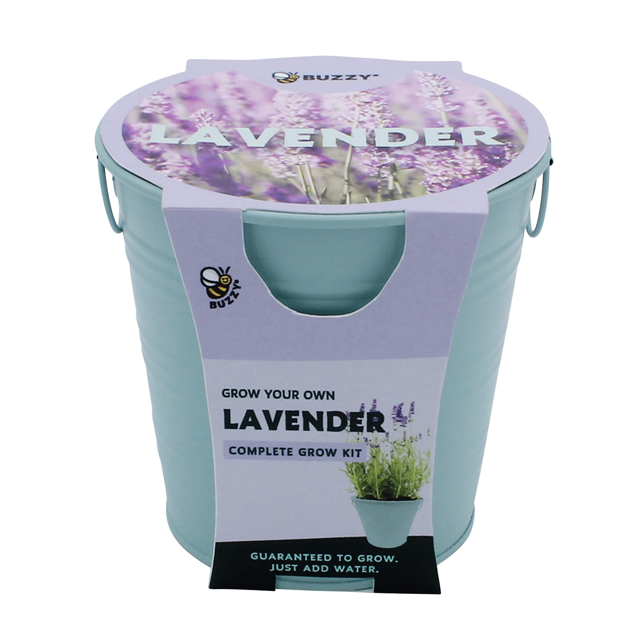 Buzzy® Lavender Pail Complete Grow Kit
