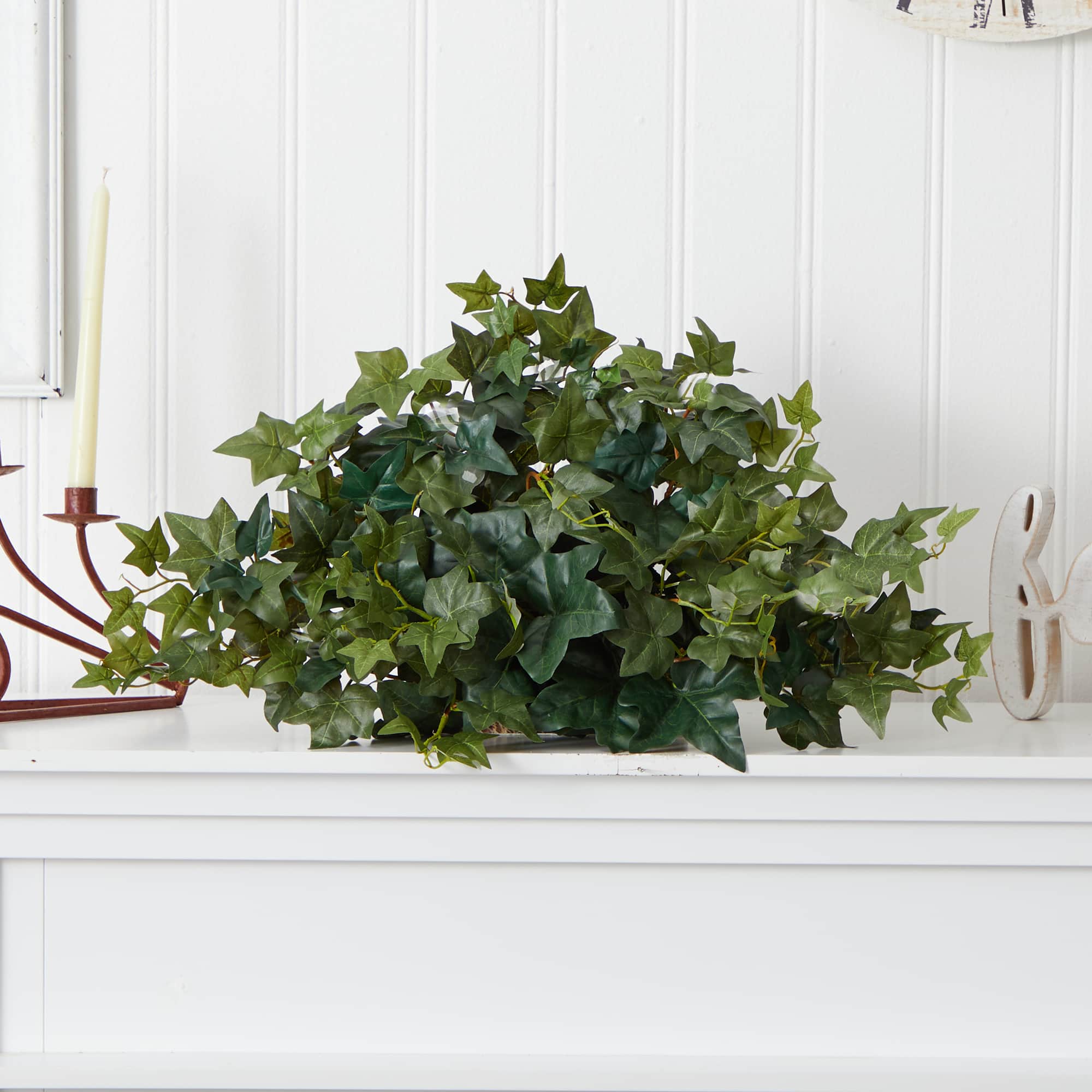 14" Ivy Ledge Plant with Moss