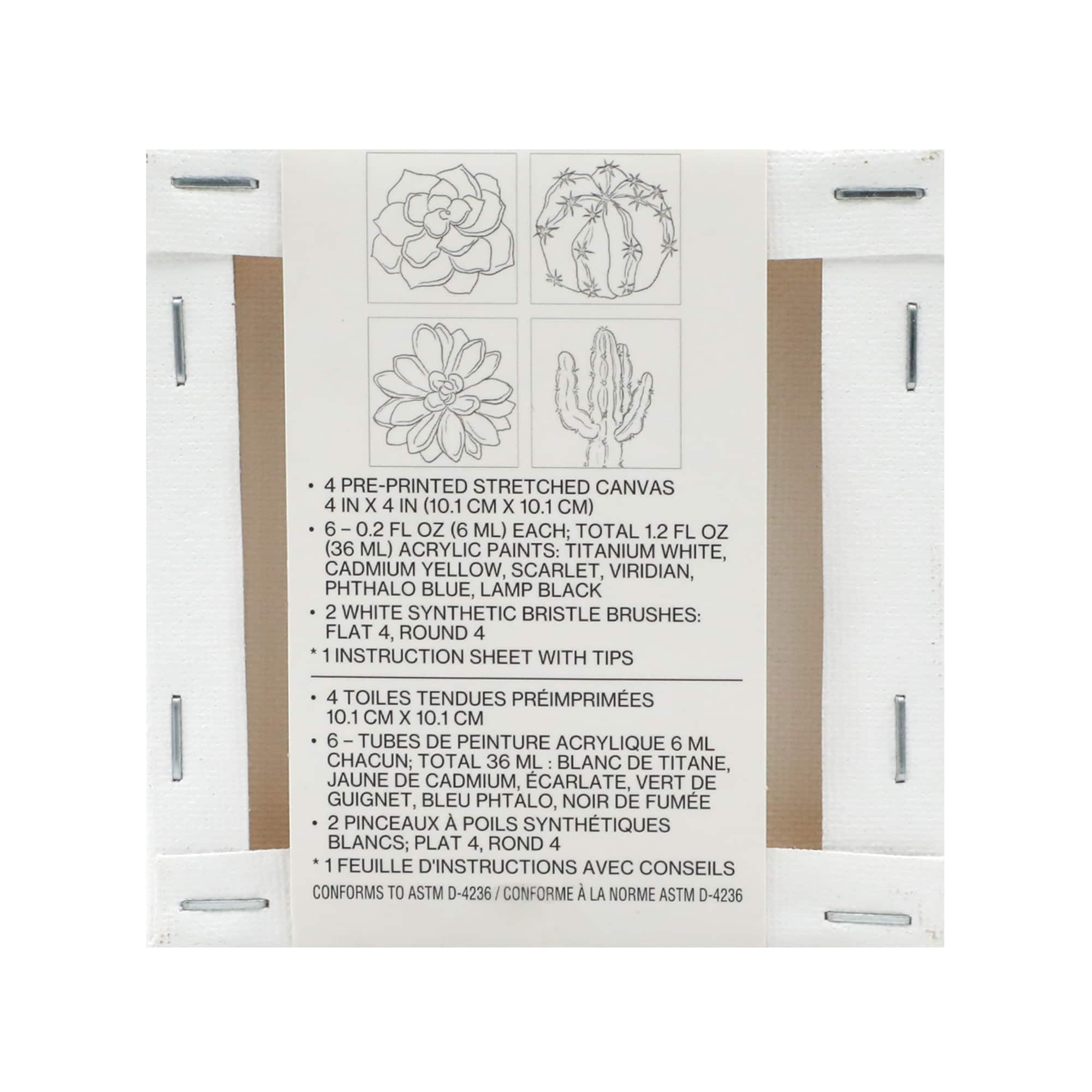 Cactus Mini Canvas Painting Kit by Craft Smart®