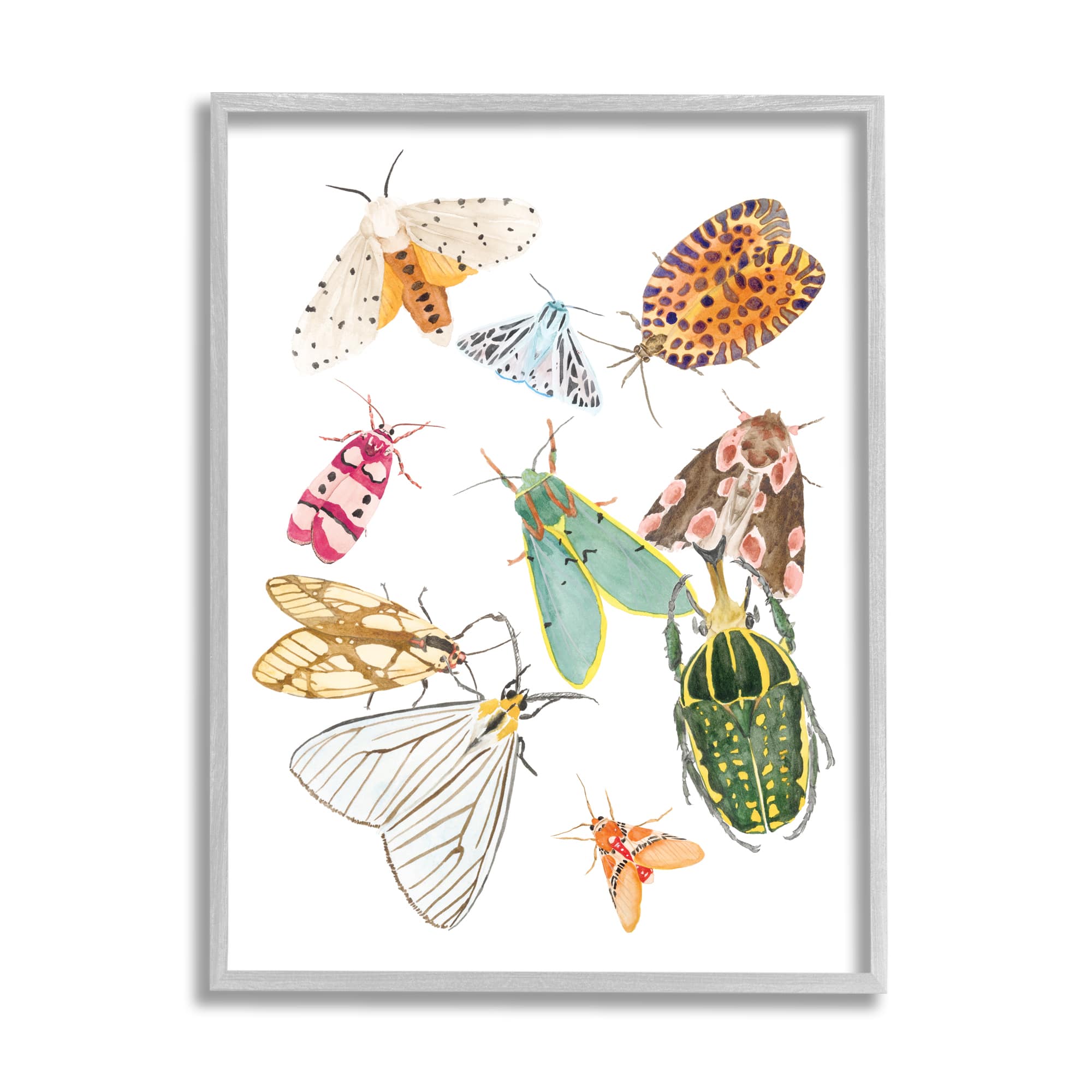 Stupell Industries Winged Insect Group Tropical Color Bugs in Gray Frame Wall Art