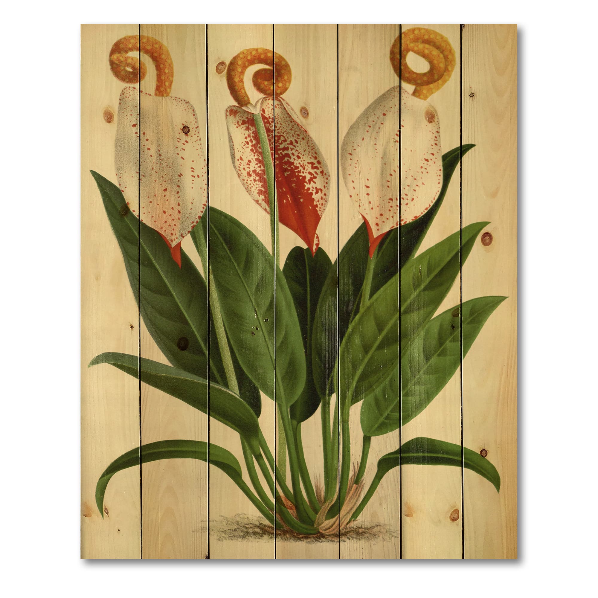 Designart - Retro Flowers I - Farmhouse Print on Natural Pine Wood