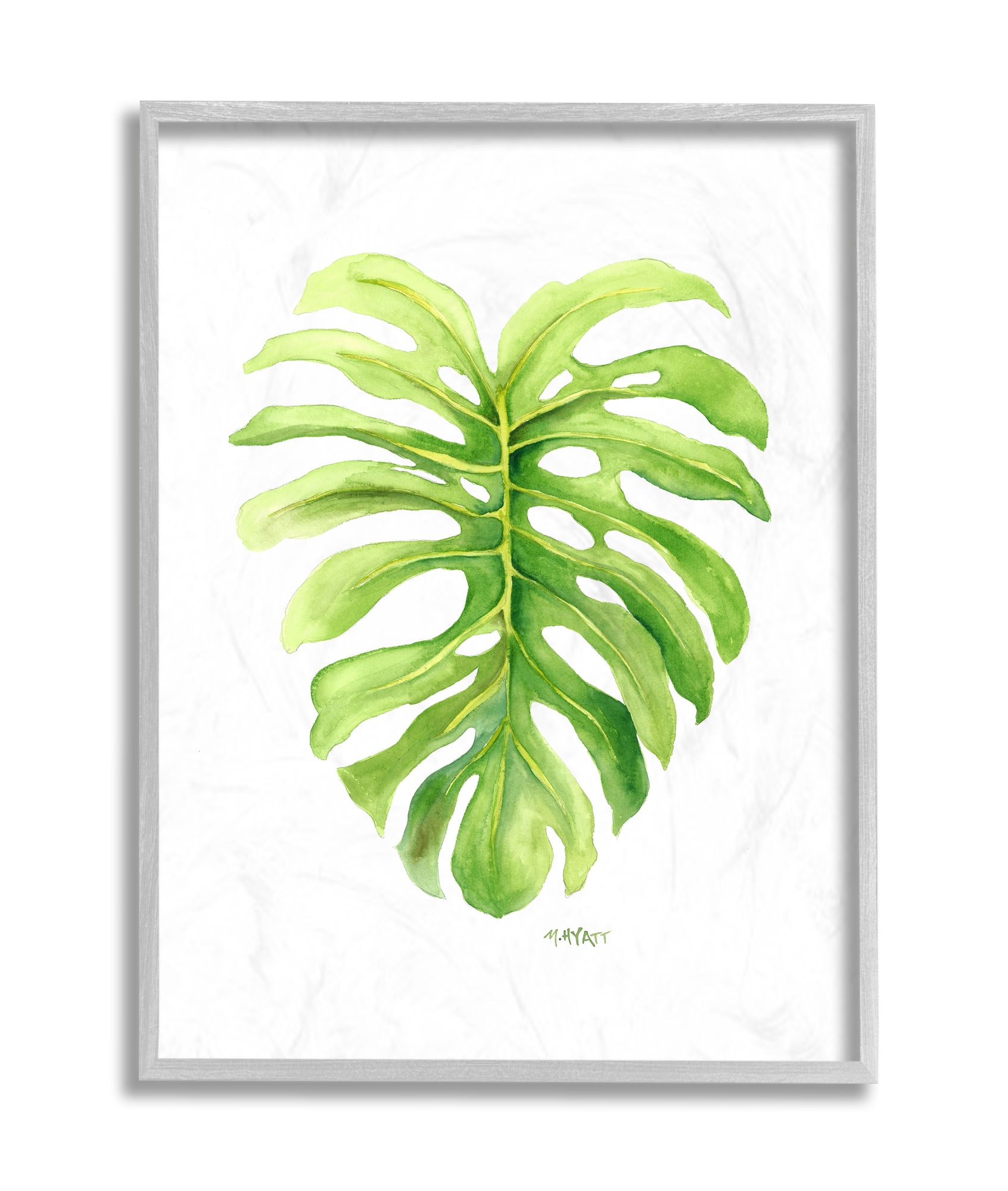 Stupell Industries Monstera Leaf Tropical Plant Over White in Gray Frame Wall Art