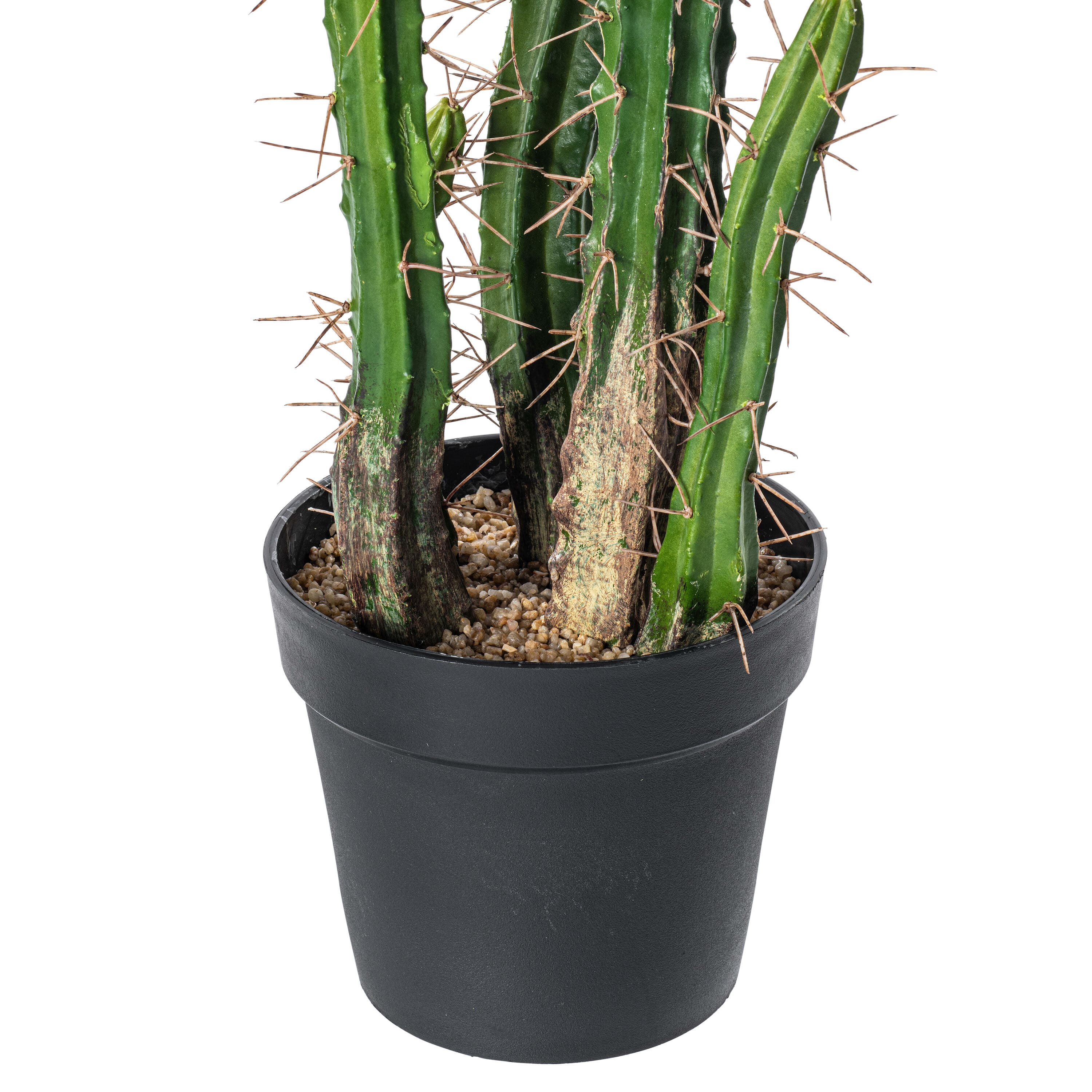 5ft. Potted Green Cactus