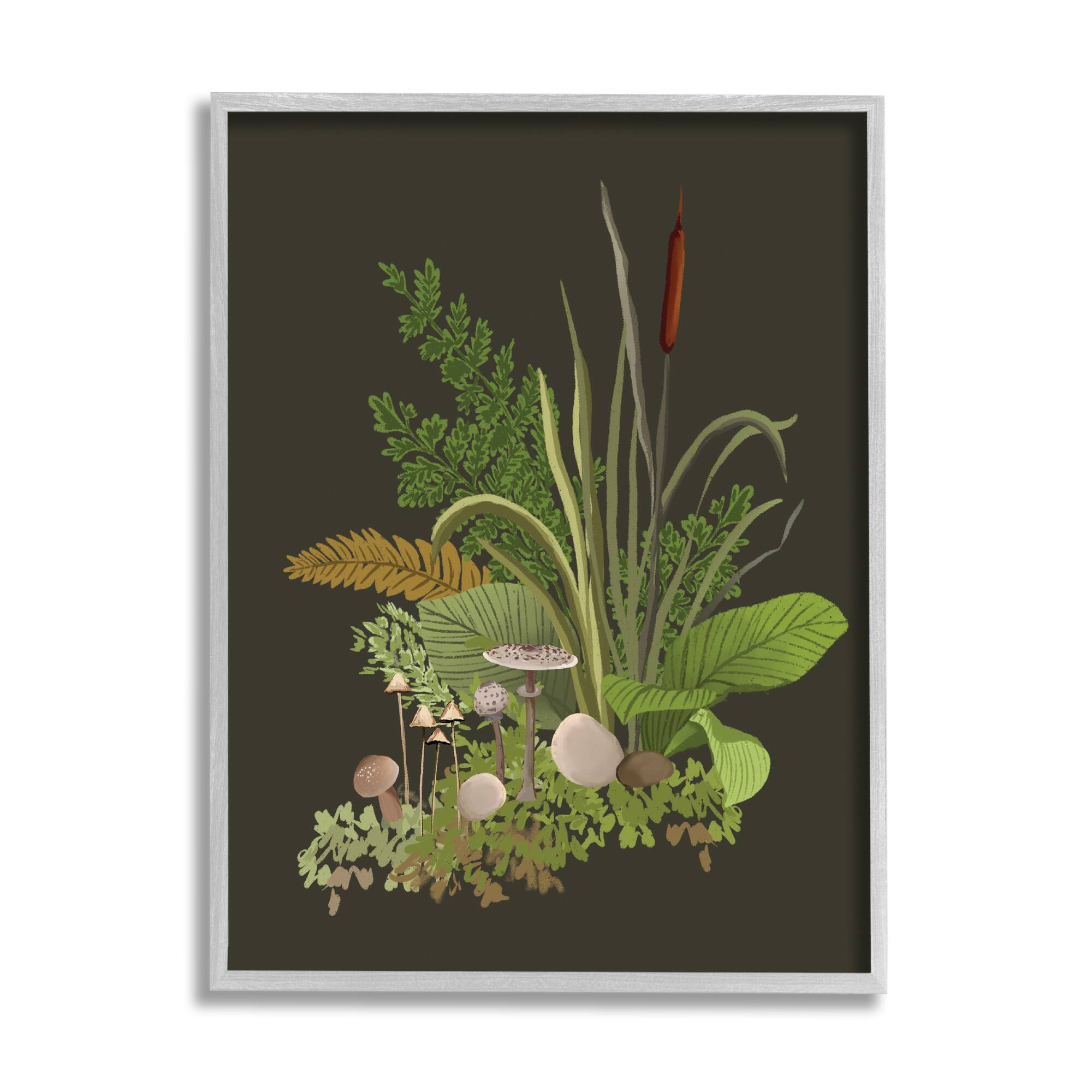 Stupell Industries Natural Forest Floor Mushrooms Ferns Framed Giclee Art