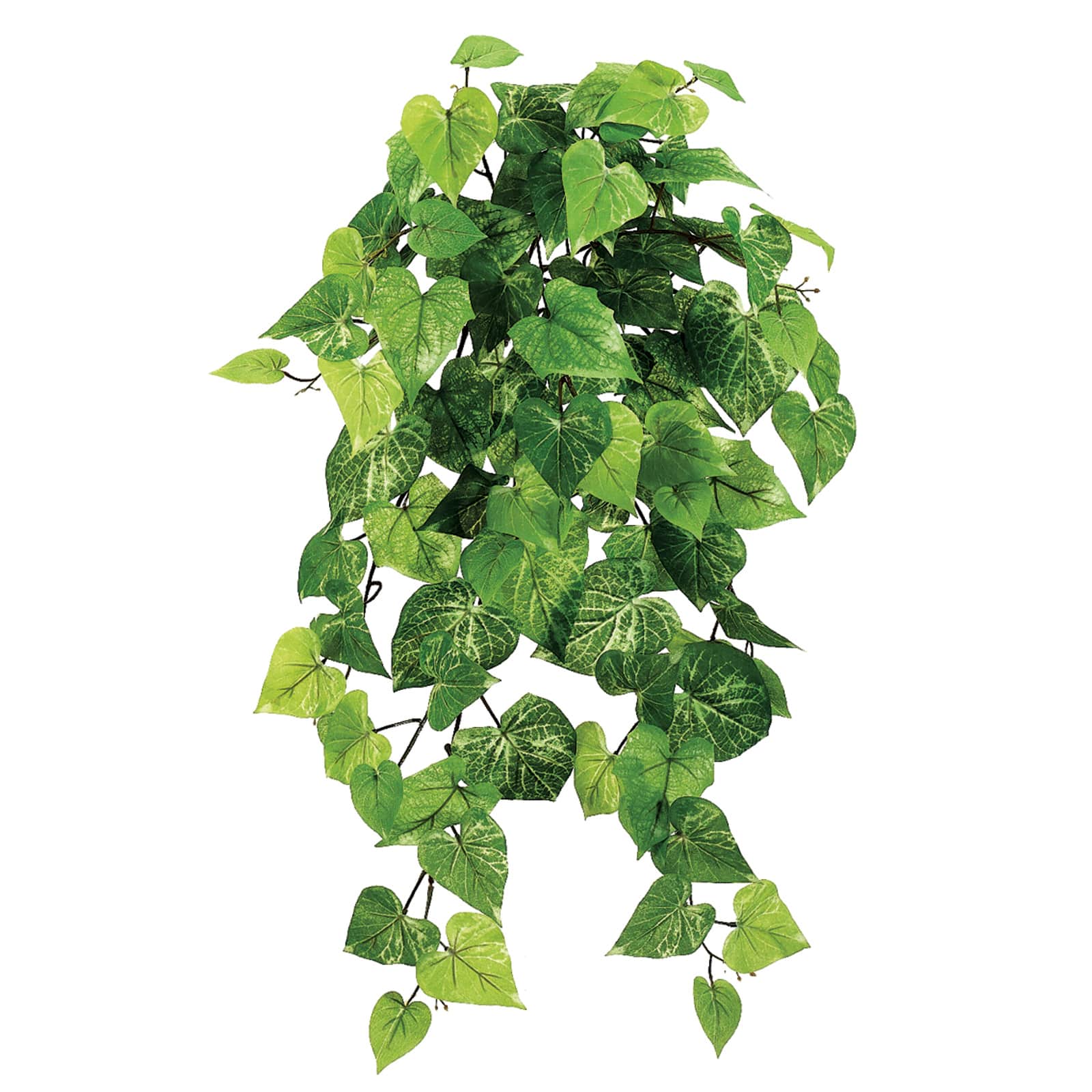30" Potato Leaf Hanging Bush, Light Green