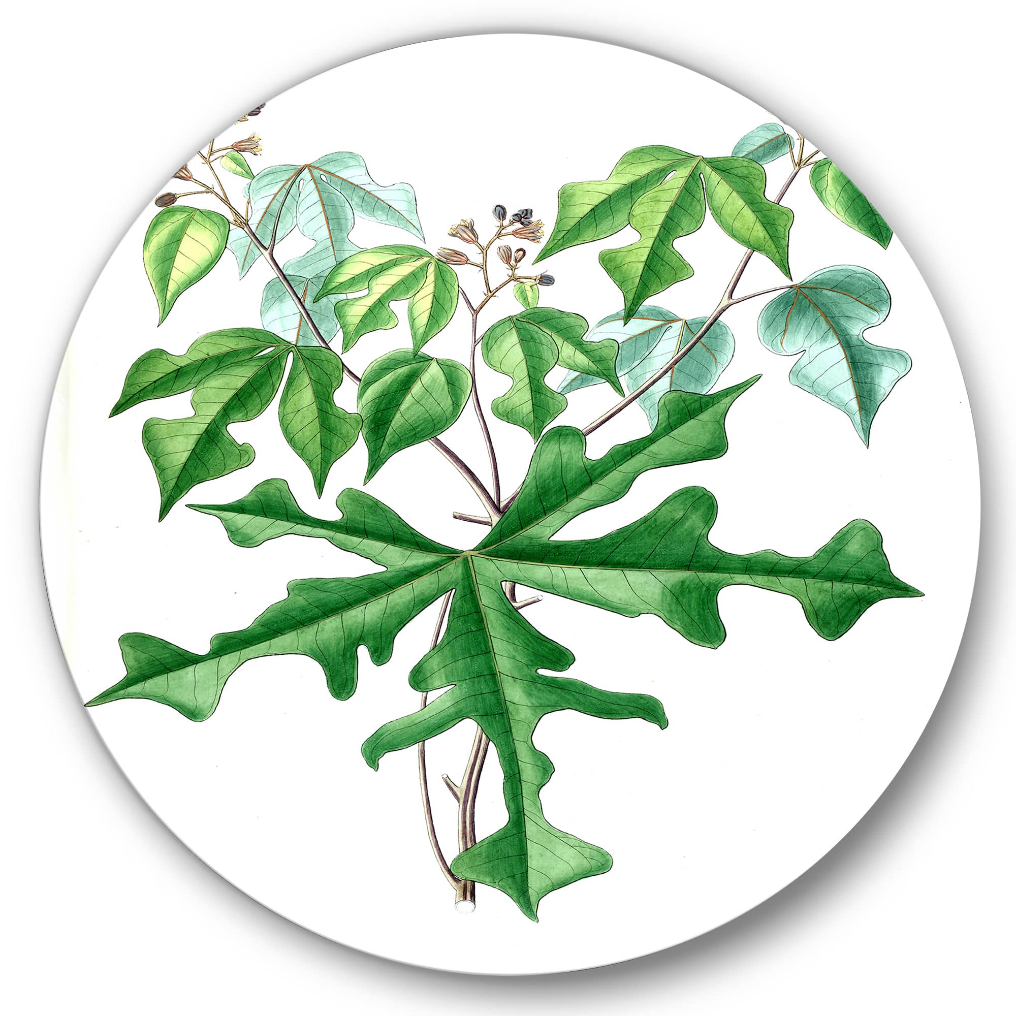 Designart - Vintage Drawing of Wild Plants - Traditional Metal Circle Wall Art