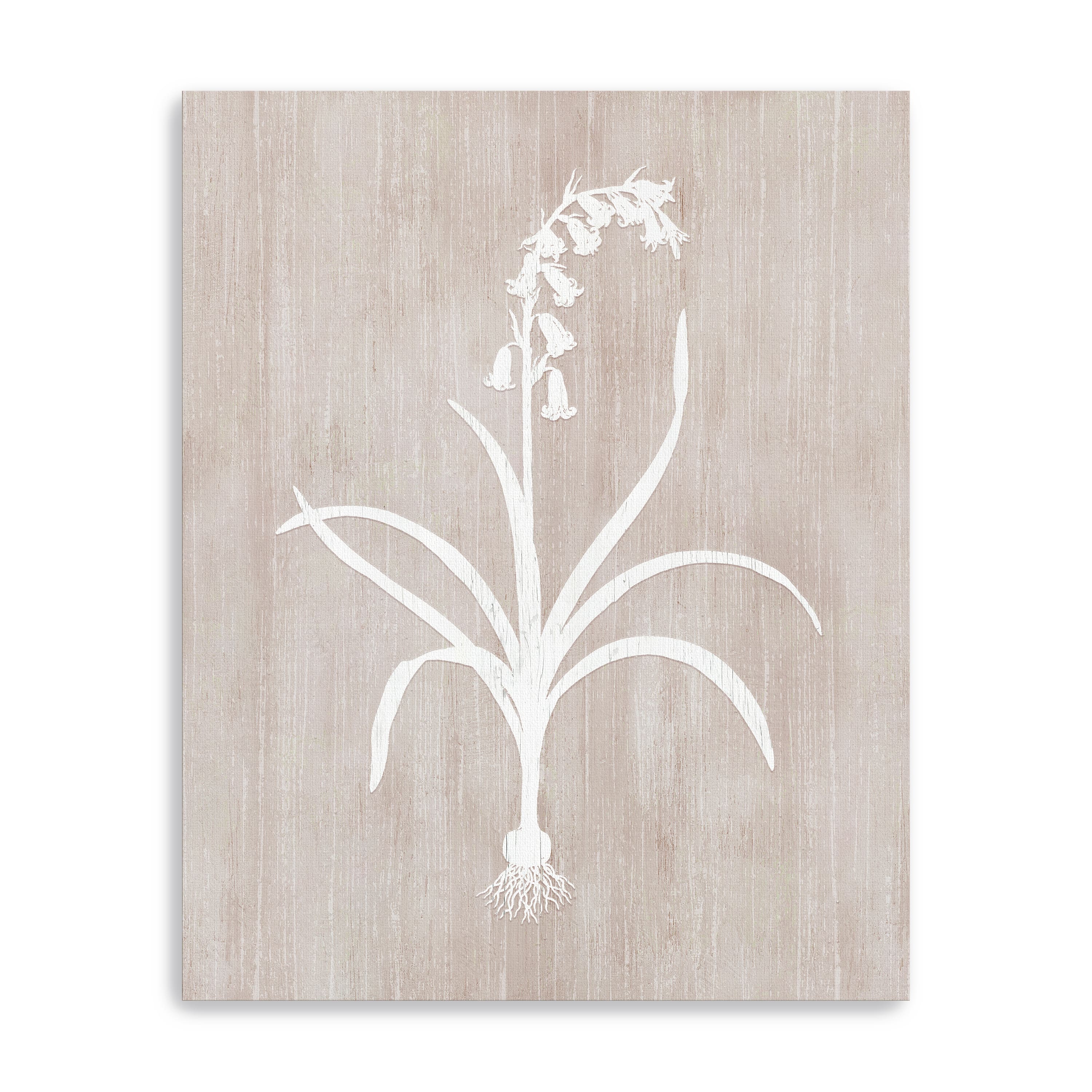 Botany Beauty I Canvas Giclee