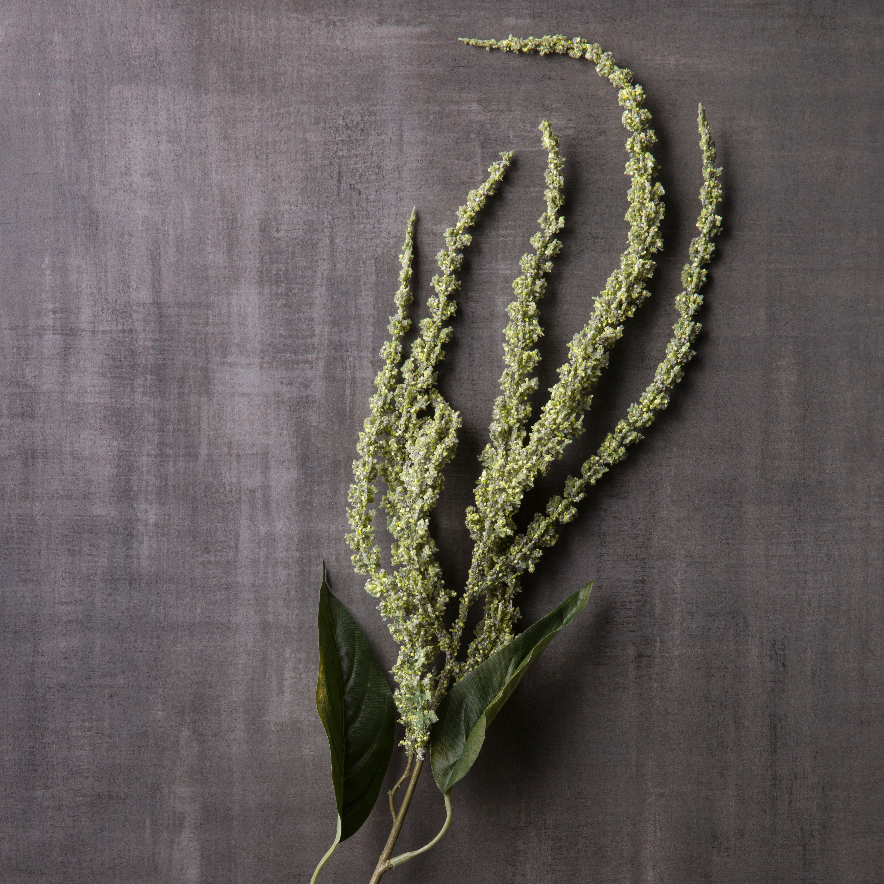 12 Pack: Green Amaranthus Stem by Ashland®