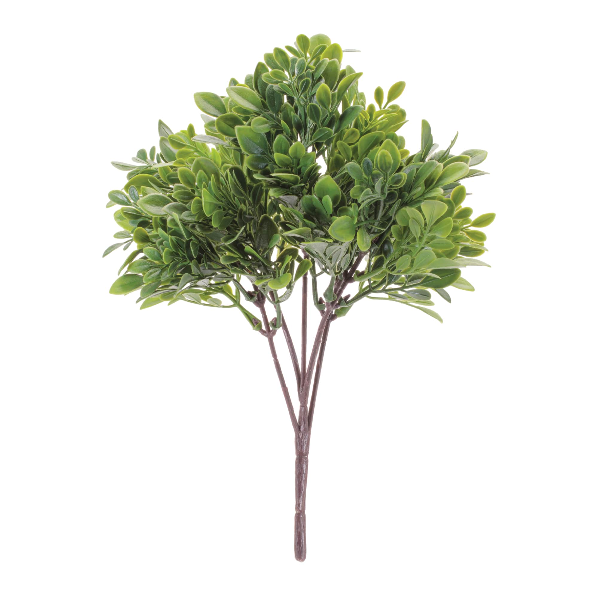 11.5" Boxwood Foliage Bush, 6ct.