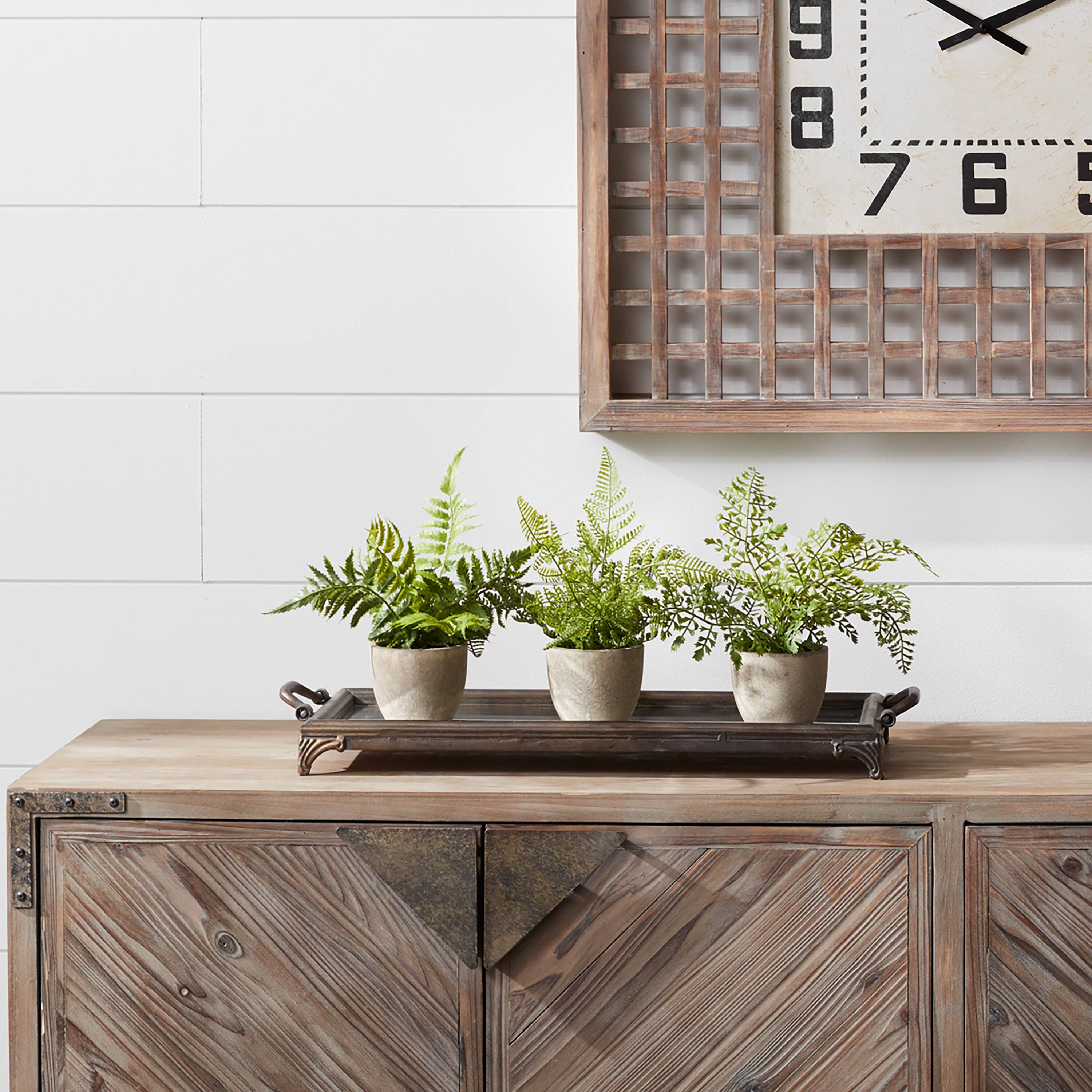 11" Potted Fern Plant Set