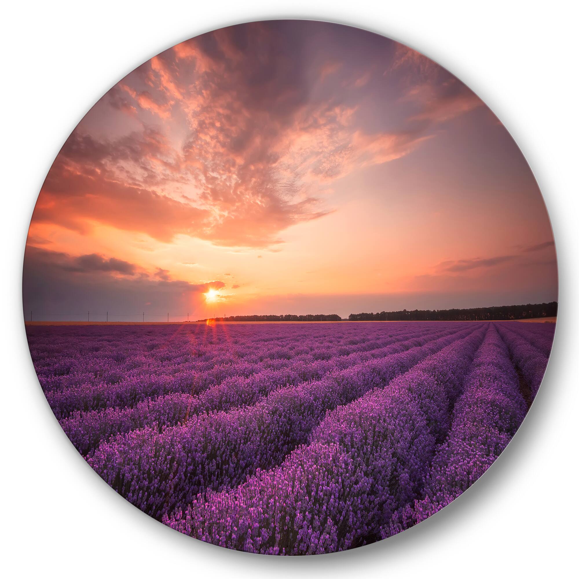 Designart - Sunrise & Dramatic Clouds Over Lavender Field XII - Farmhouse Metal Circle Wall Art
