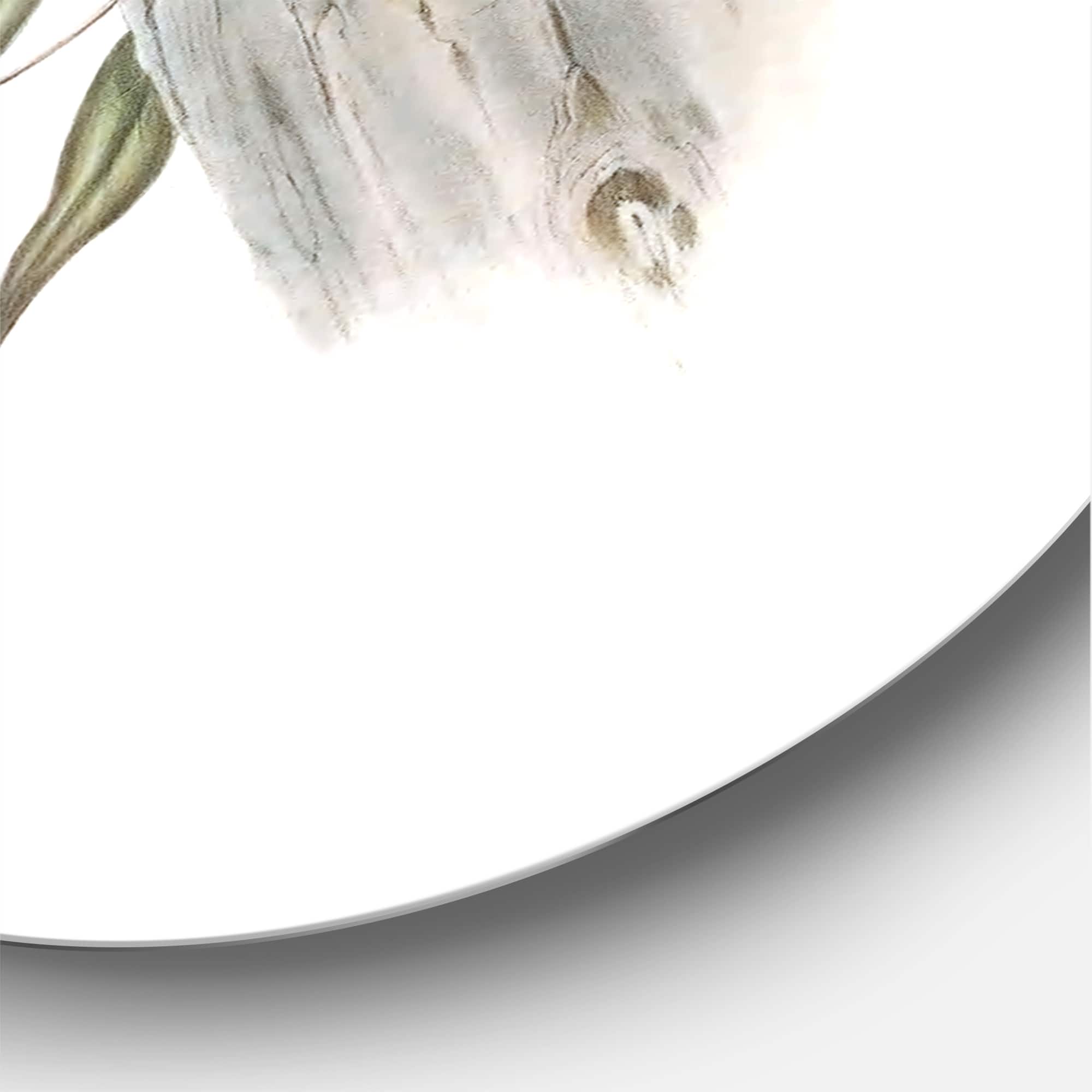 Designart - Vintage Australian Bird Illustrations II - Traditional Metal Circle Wall Art