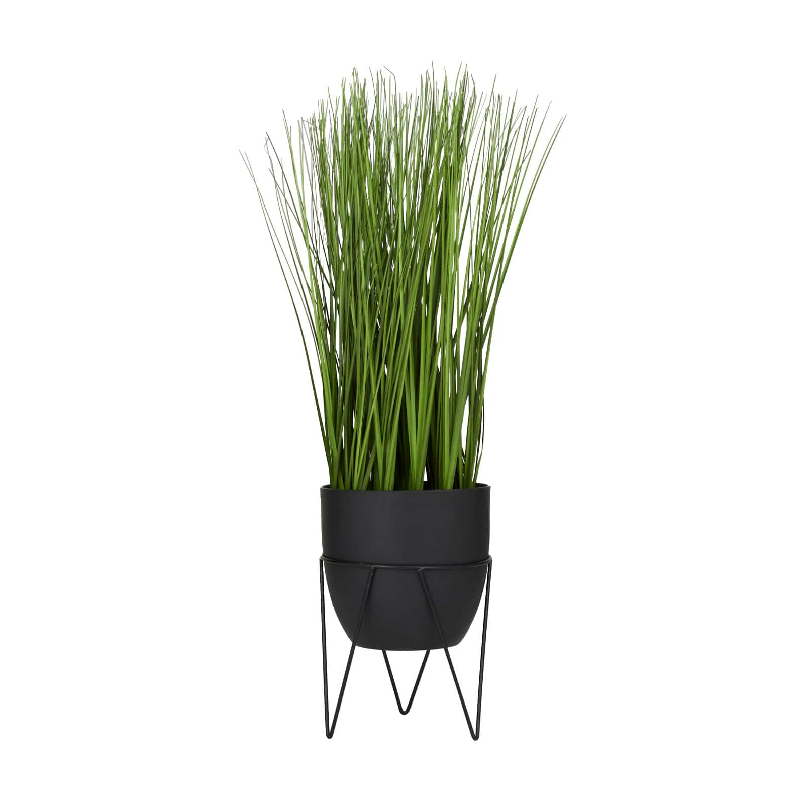 21" Black Contemporary Floral & Botanical Artificial Foliage