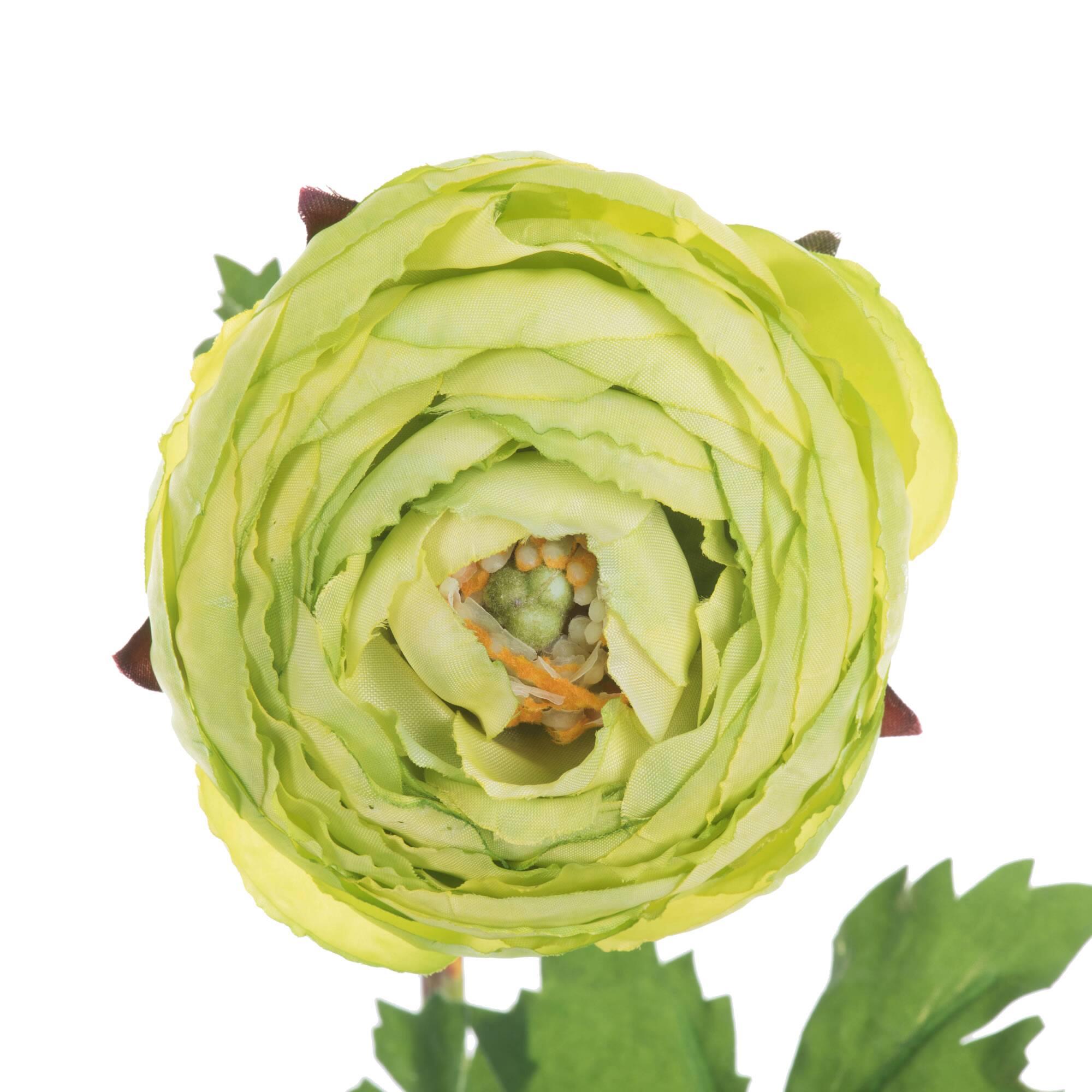 23" Green Ranunculus Artificial Stem, 4ct.