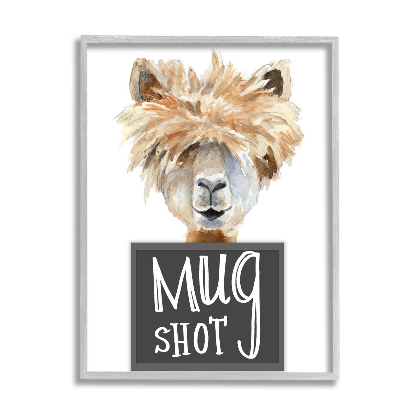 Stupell Industries Fluffy Hair Alpaca Animal Mugshot Funny Portrait Framed Wall Art