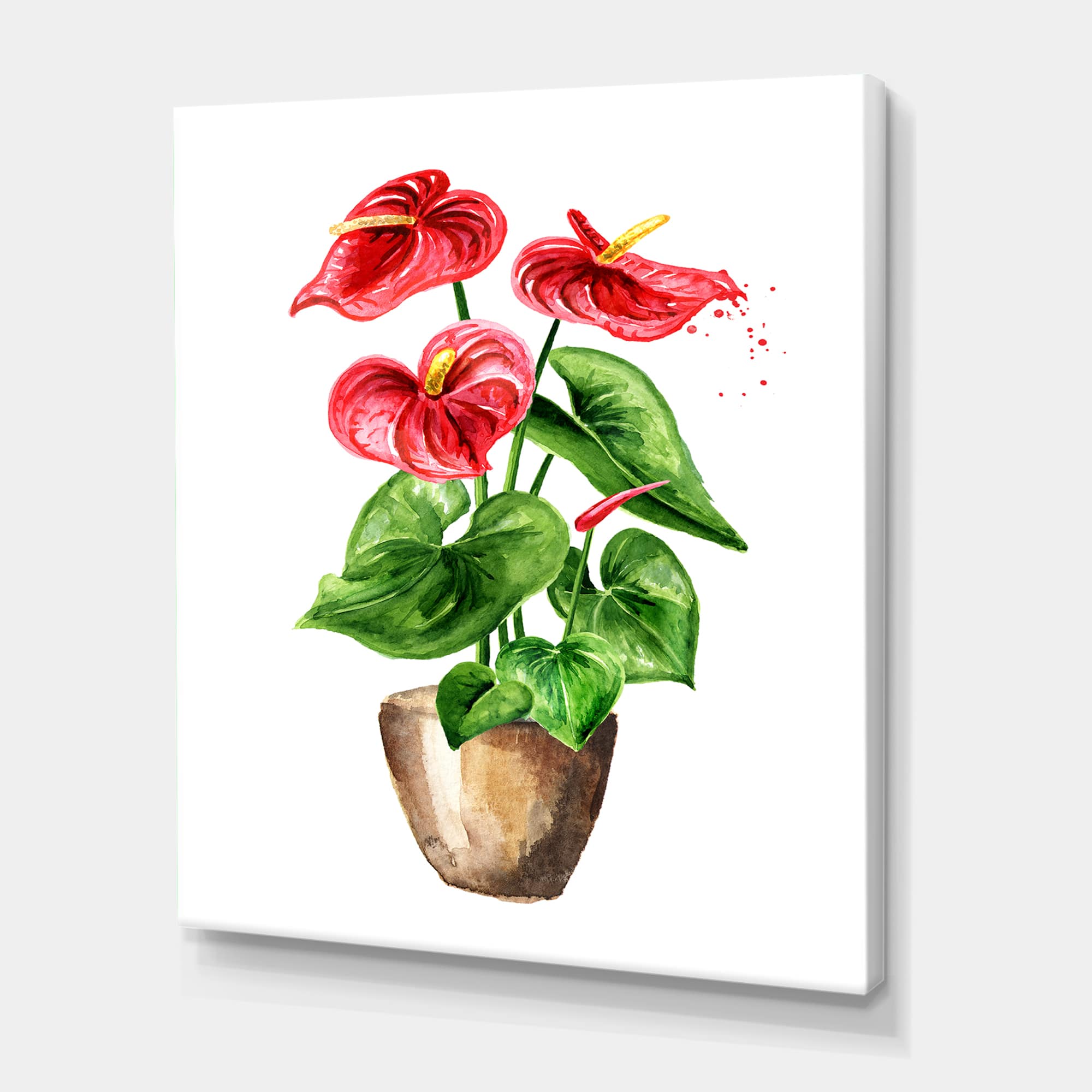 Designart - Anthurium Tailflower Or Flamingo Flower In The Pot - Traditional Canvas Wall Art Print