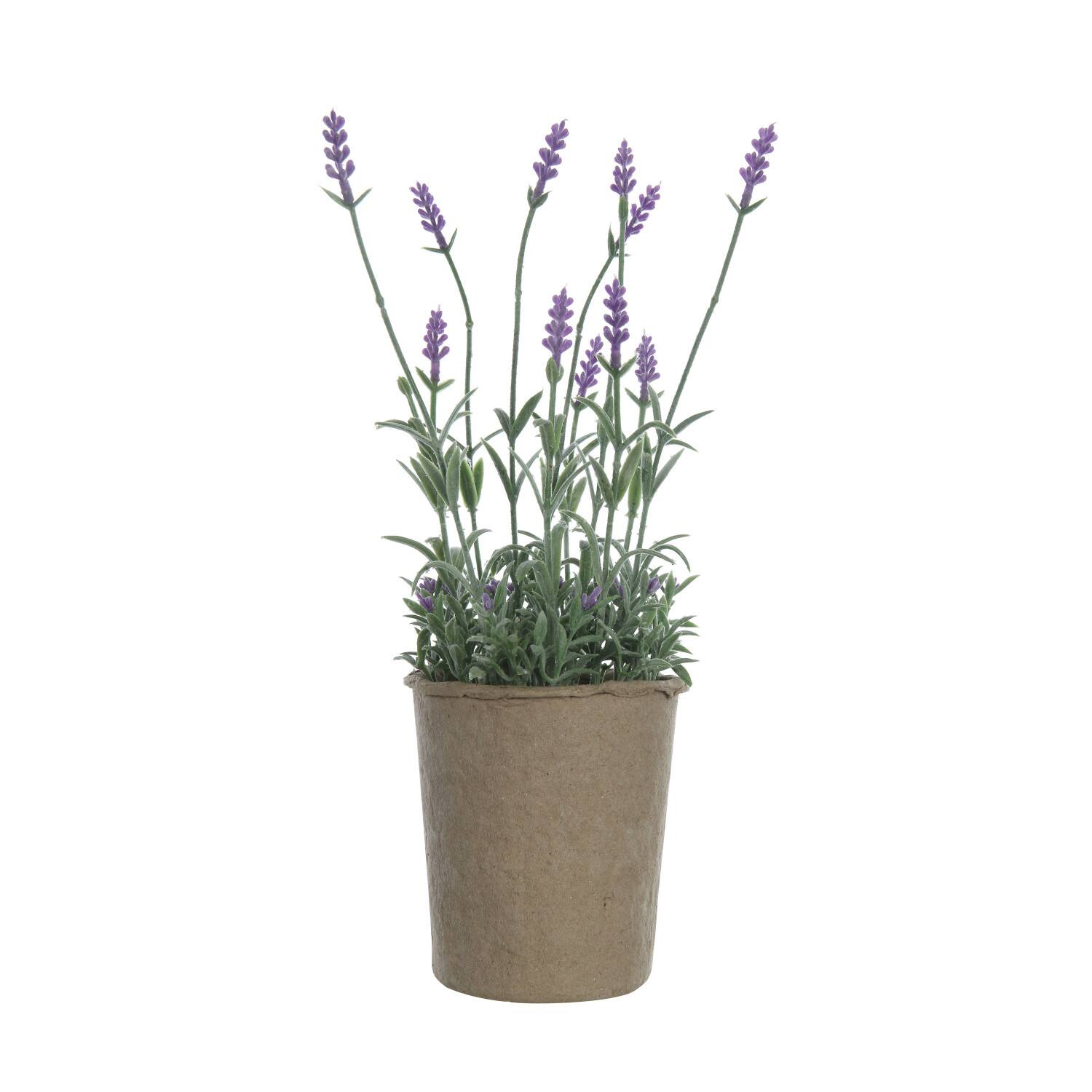 Hello Honey® 13.5" Faux Lavender Plant in Paper Pot