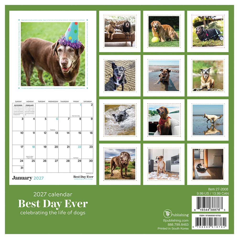 2027 Best Day Ever: Dogs Mini Calendar
