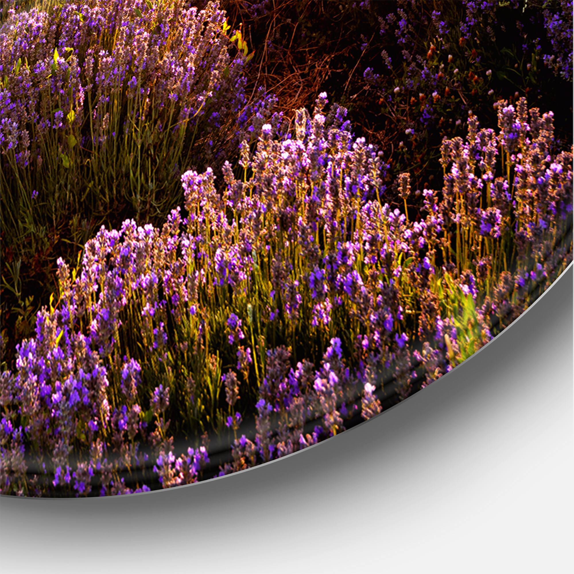 Designart - Sunrise & Dramatic Clouds Over Lavender Field V - Farmhouse Metal Circle Wall Art