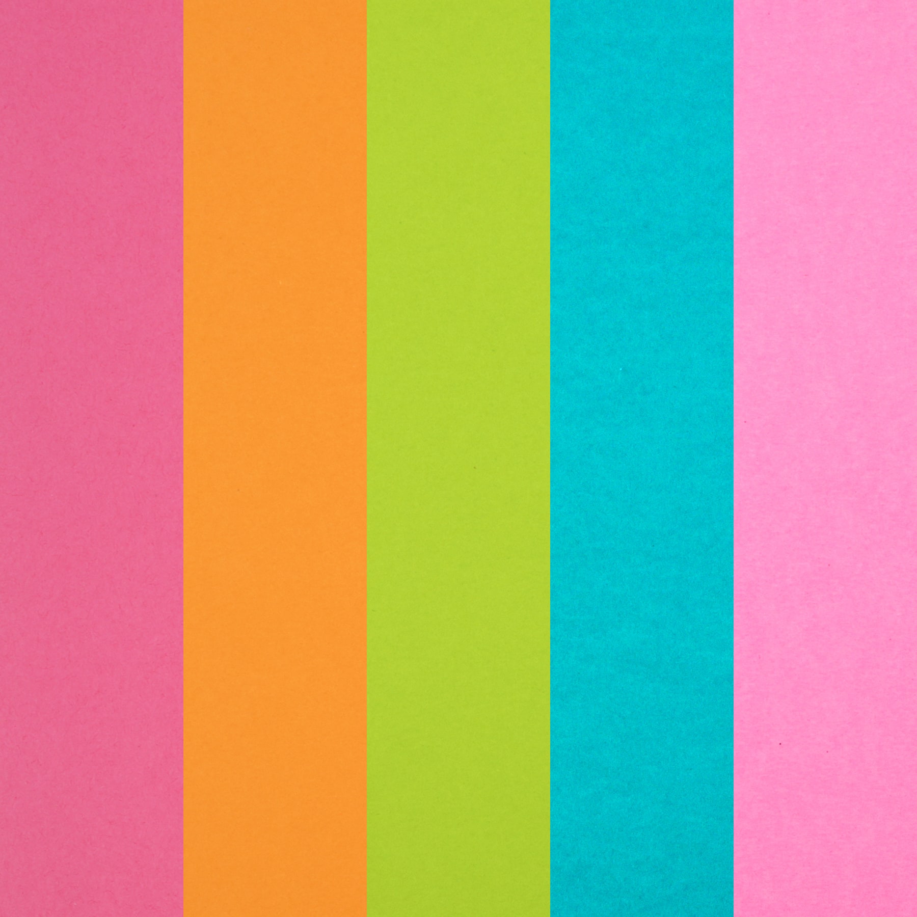 12 Packs: 50 ct. (600 total) 8.5" x 11" Cardstock Paper by Recollections™