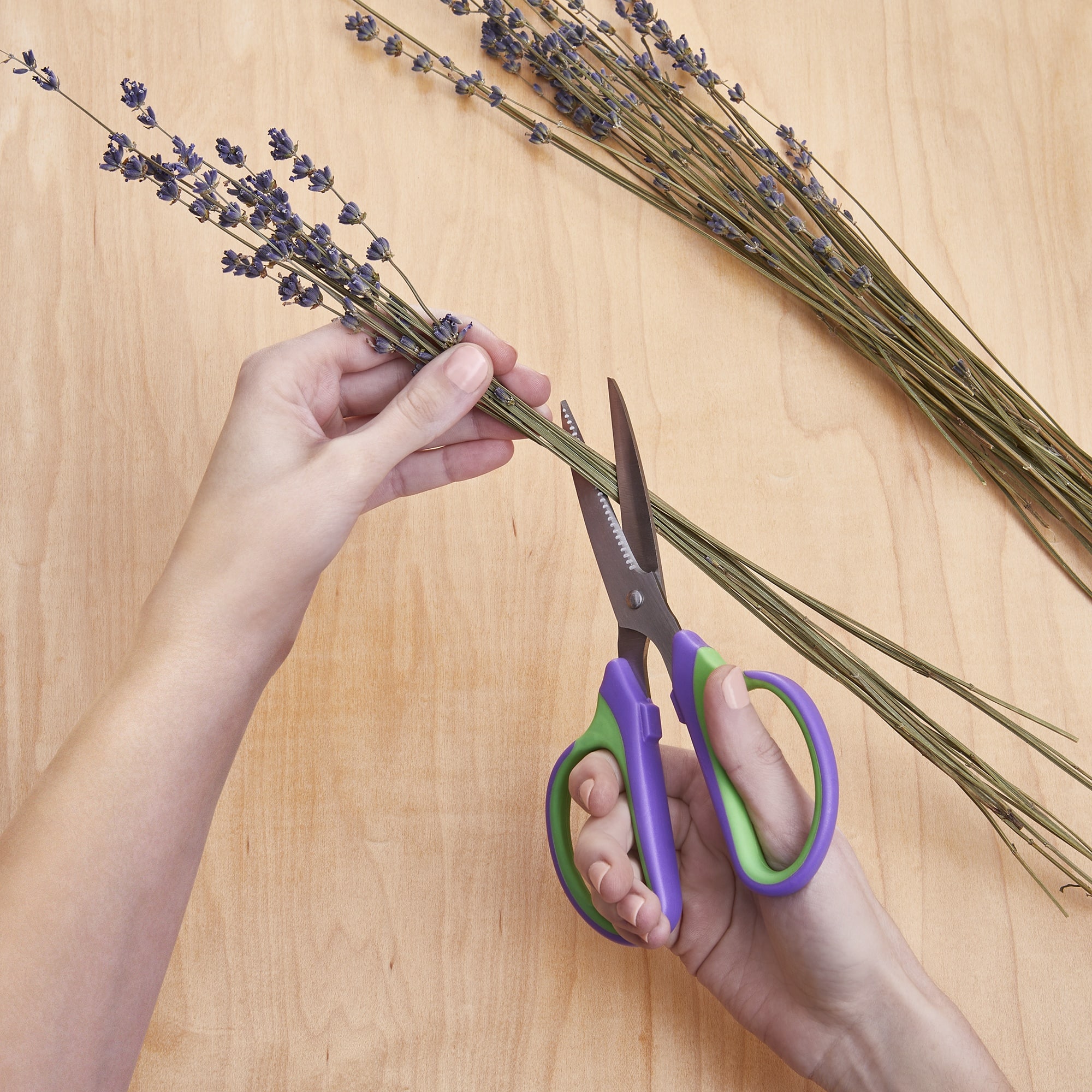 FloraCraft® 7.5" Purple & Green Floral Shears