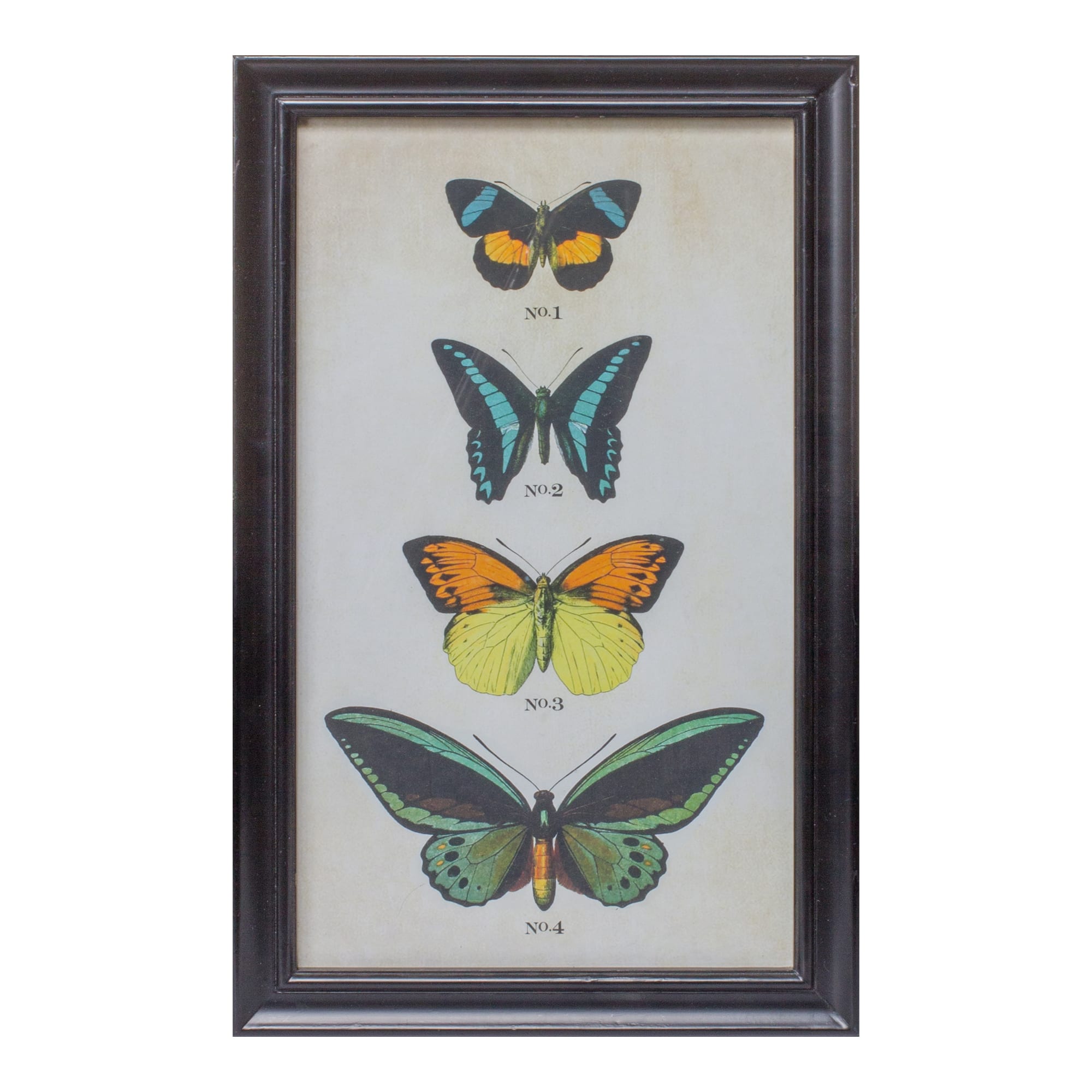 Framed Butterfly Print Set