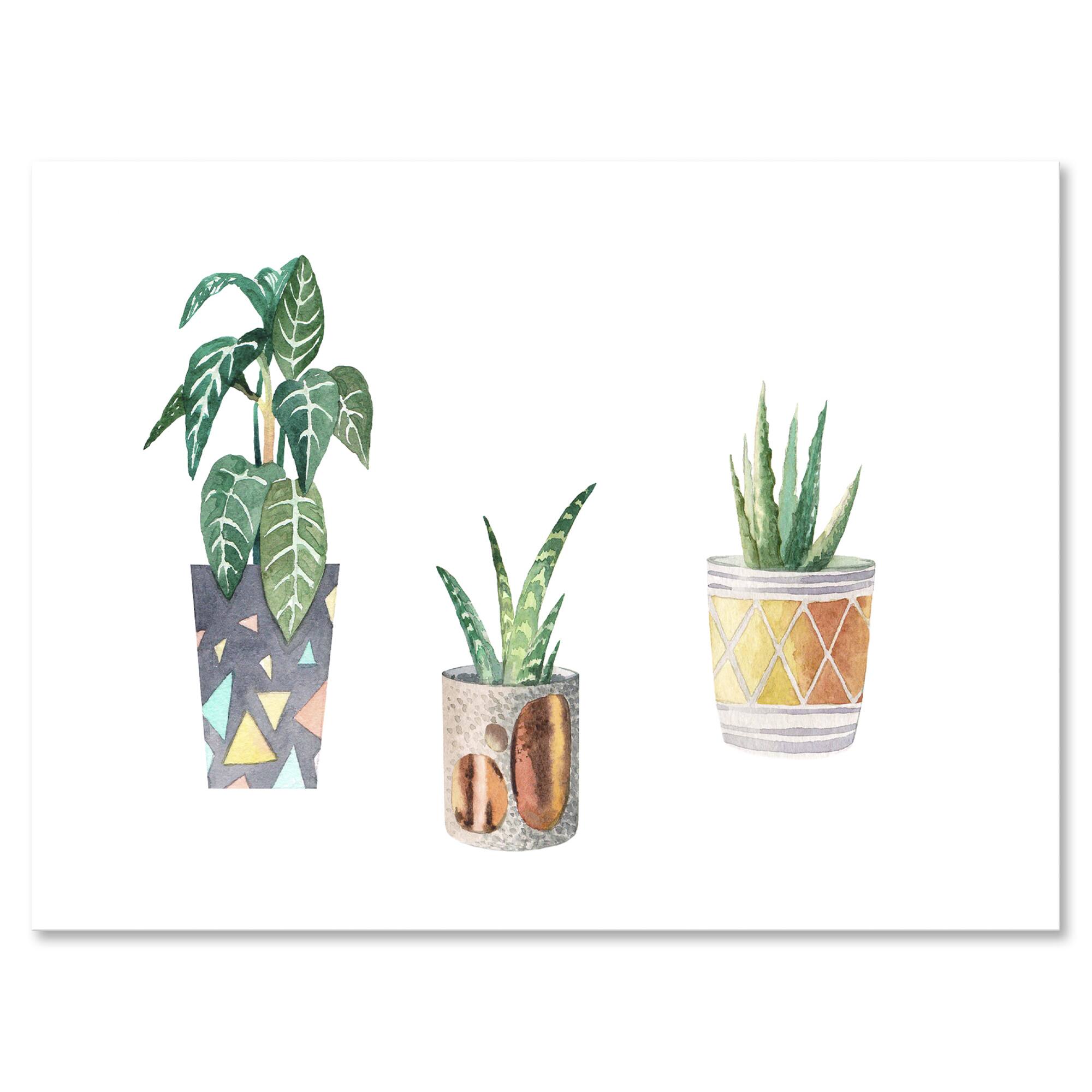 Designart - Three Potted Houseplants