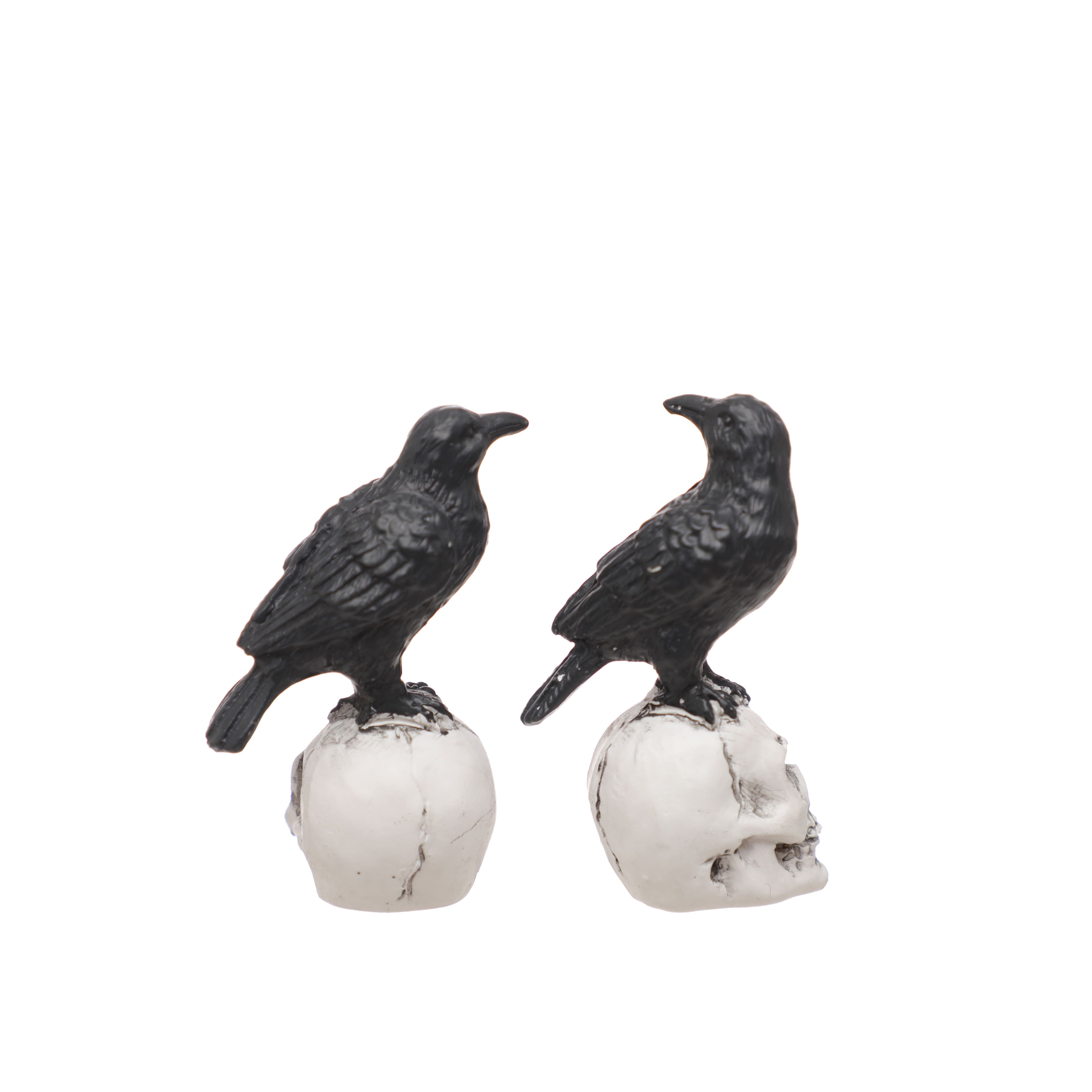 Mini Raven on Skull, 2ct. by Ashland®